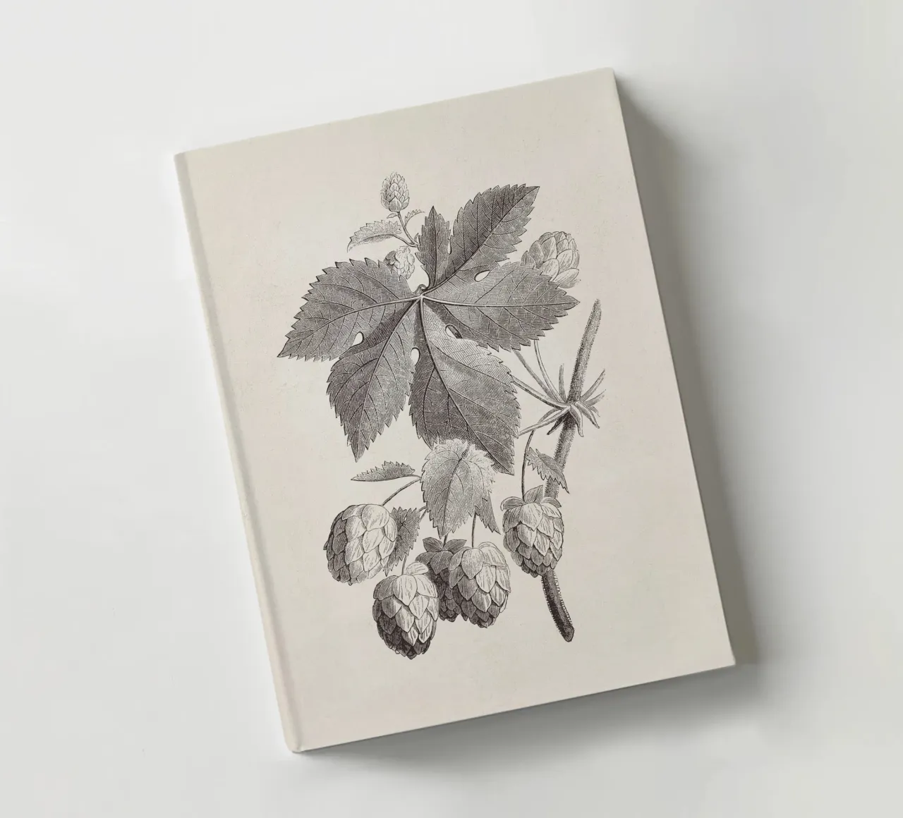 Hops Branch Sketch no. 1 diario da apoloprints