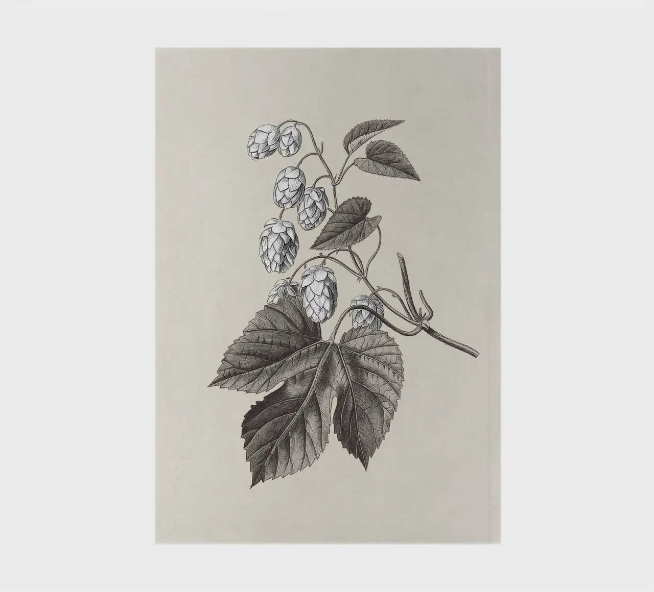 Hops Branch Sketch no. 2 notebook by apoloprints