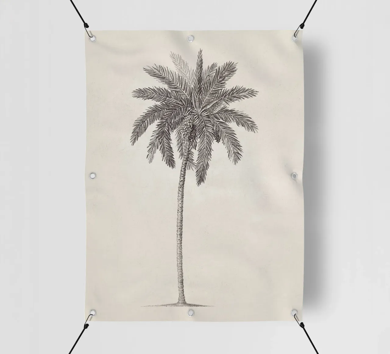 Palm Tree Sketch no. 09 telo in pvc da apoloprints