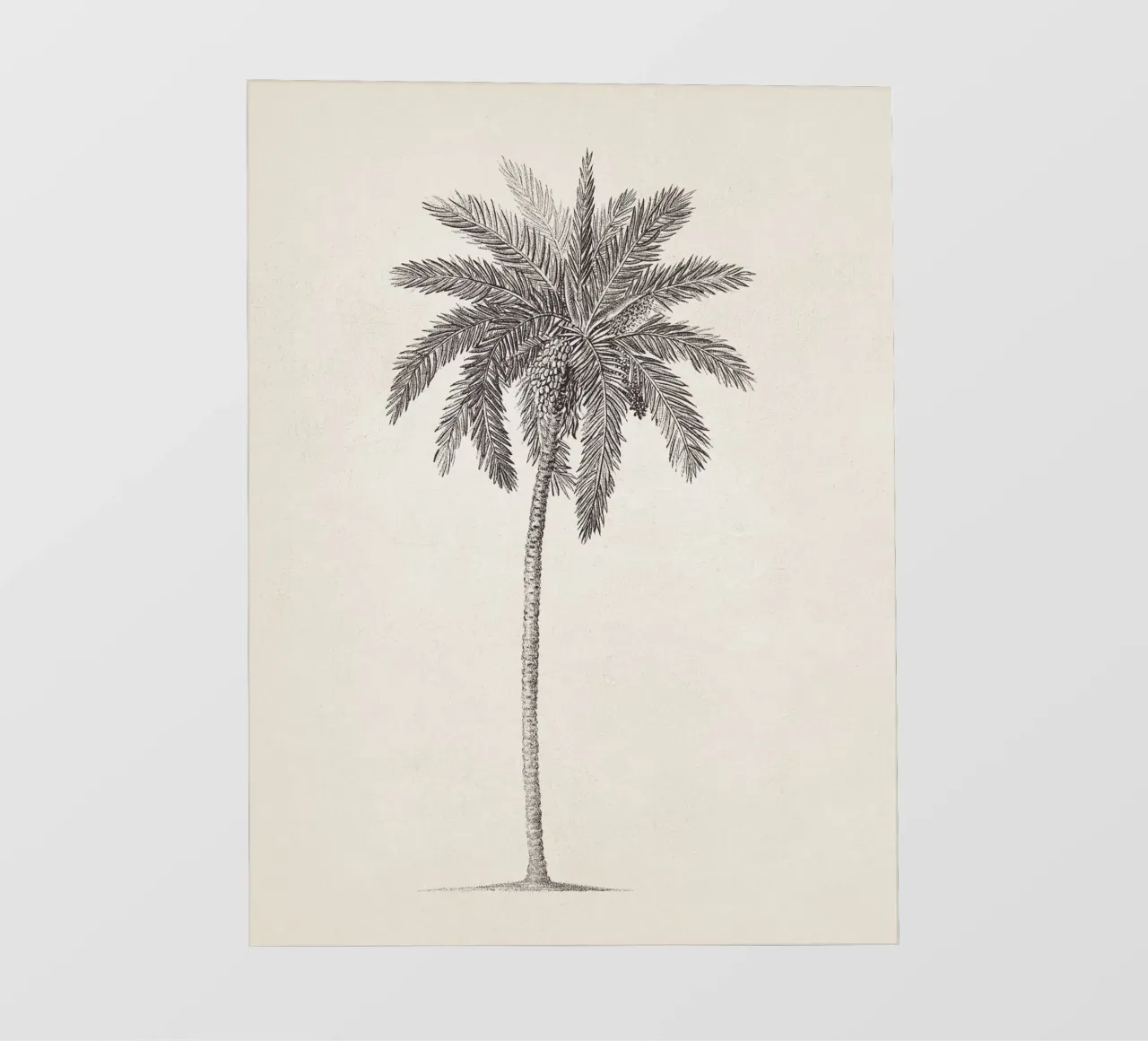 Palm Tree Sketch no. 09 telo in pvc da apoloprints