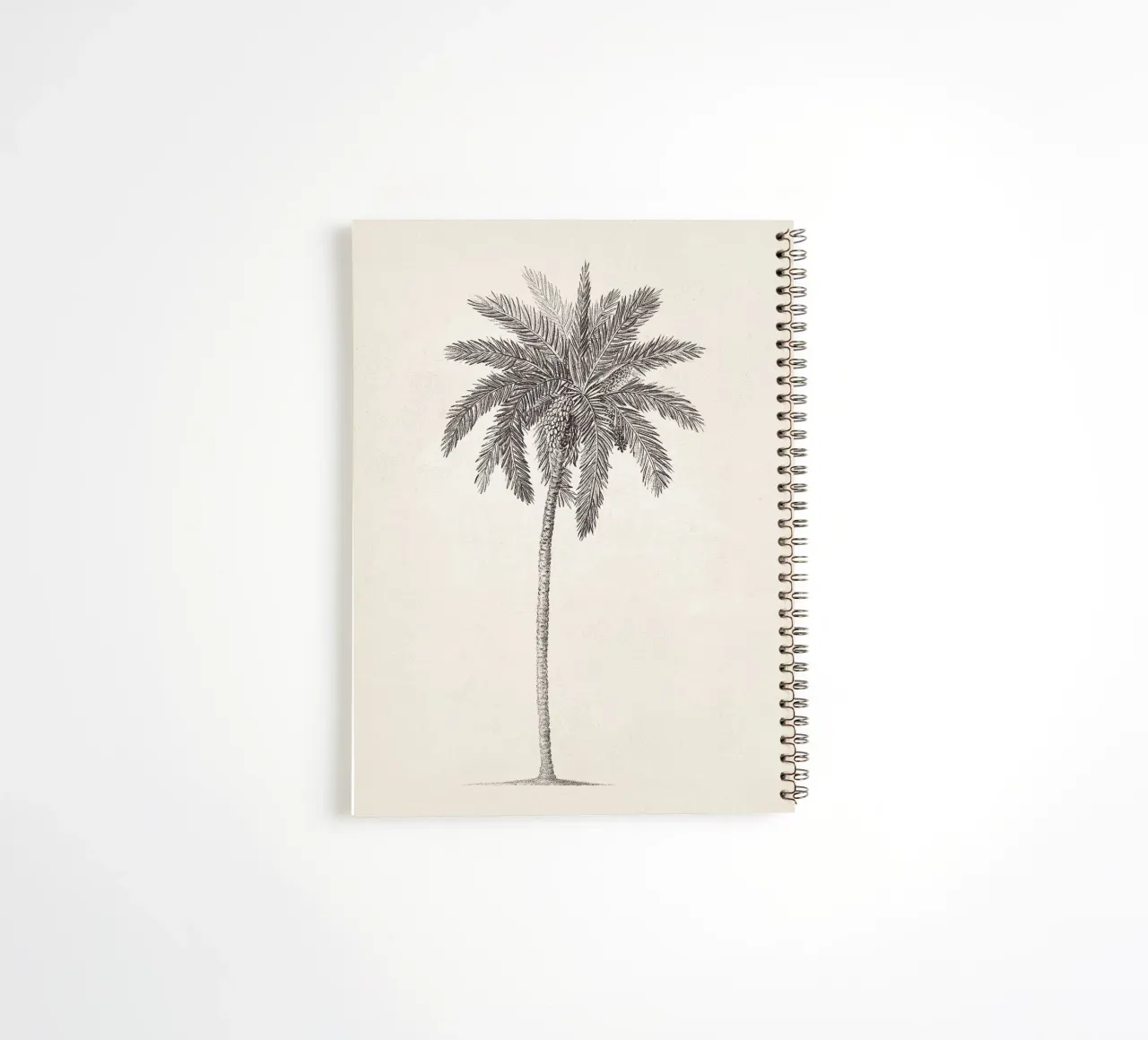 Palm Tree Sketch no. 09 diario ad anelli da apoloprints