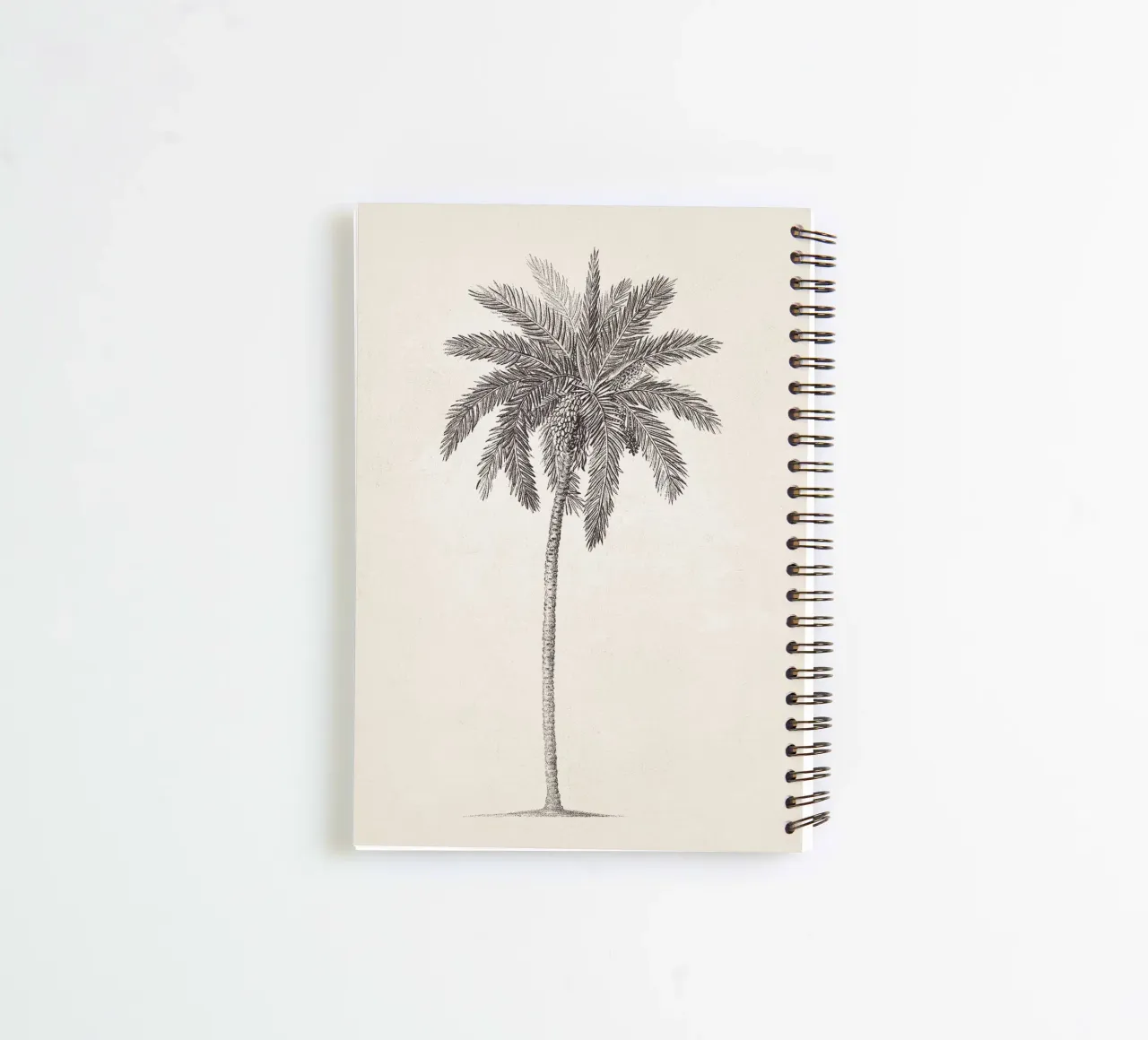 Palm Tree Sketch no. 09 diario ad anelli da apoloprints