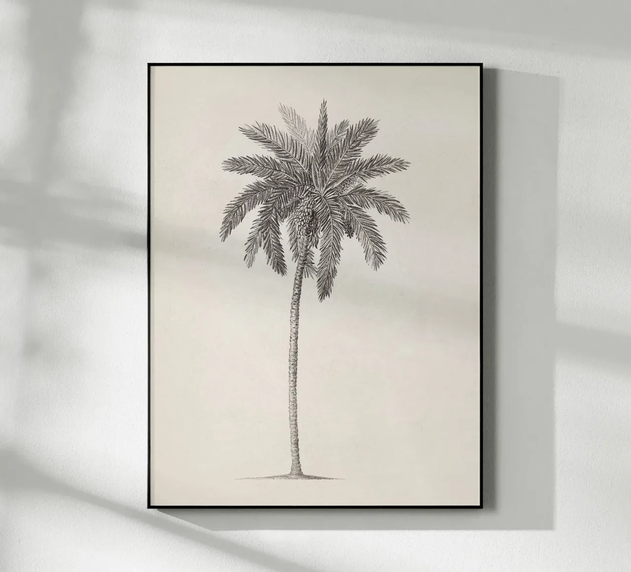 Palm Tree Sketch no. 09 plexiglass da apoloprints
