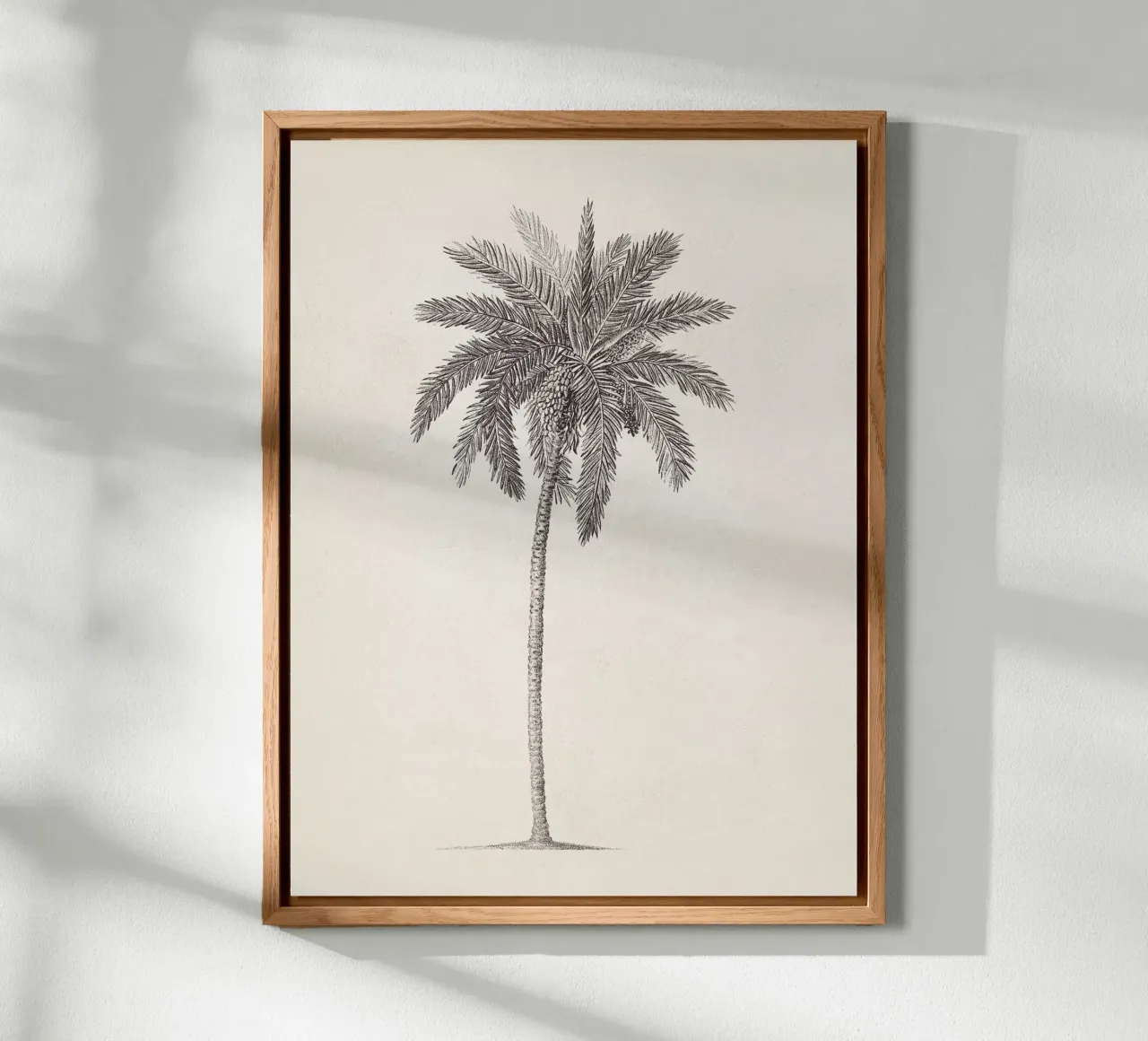 Palm Tree Sketch no. 09 alluminio dibond da apoloprints
