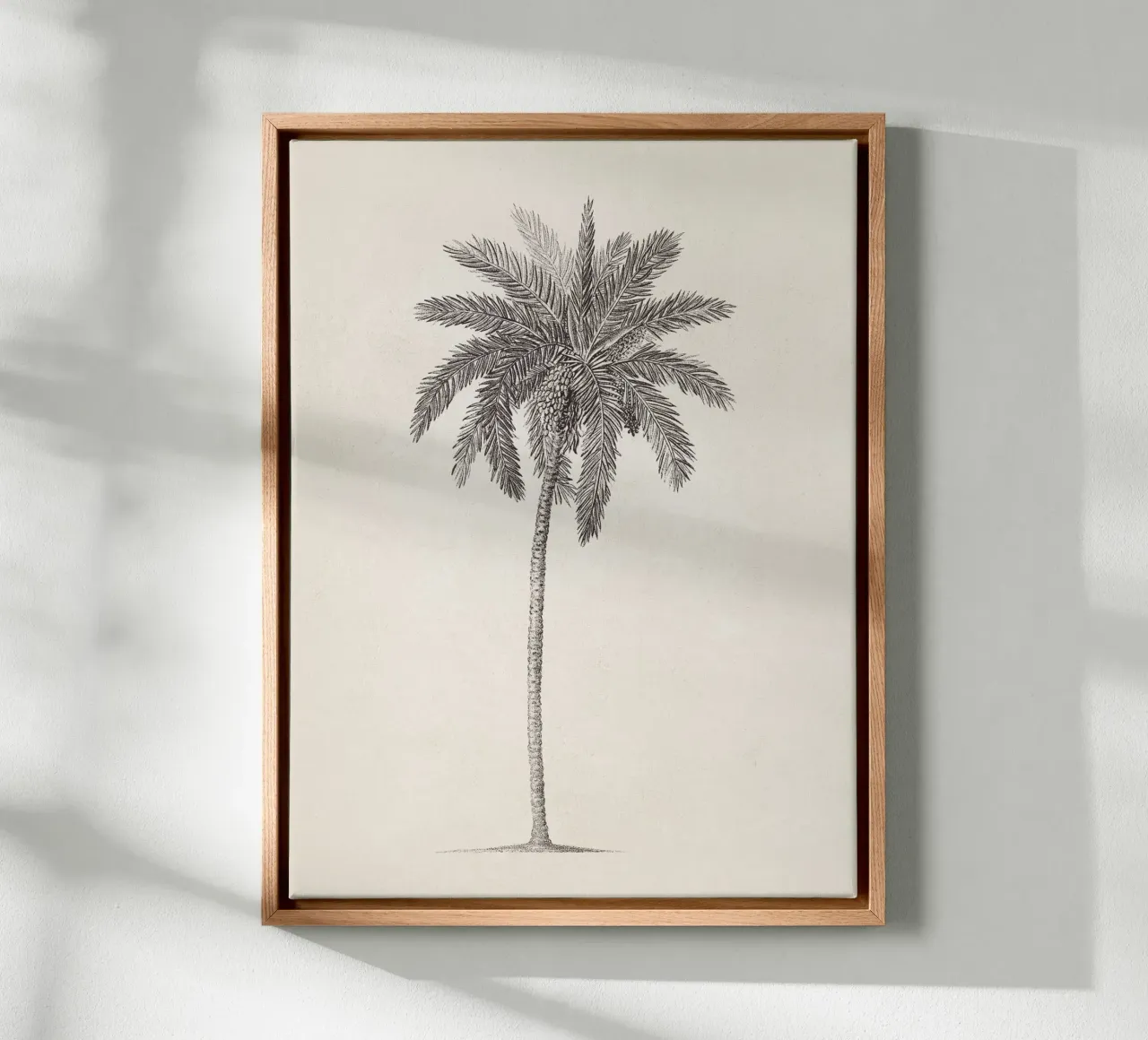 Palm Tree Sketch no. 09 tela da apoloprints