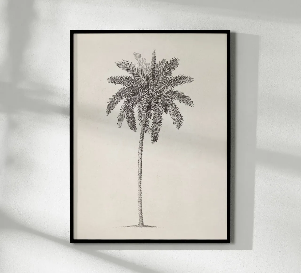 Palm Tree Sketch no. 09 carta hahnemühle da apoloprints