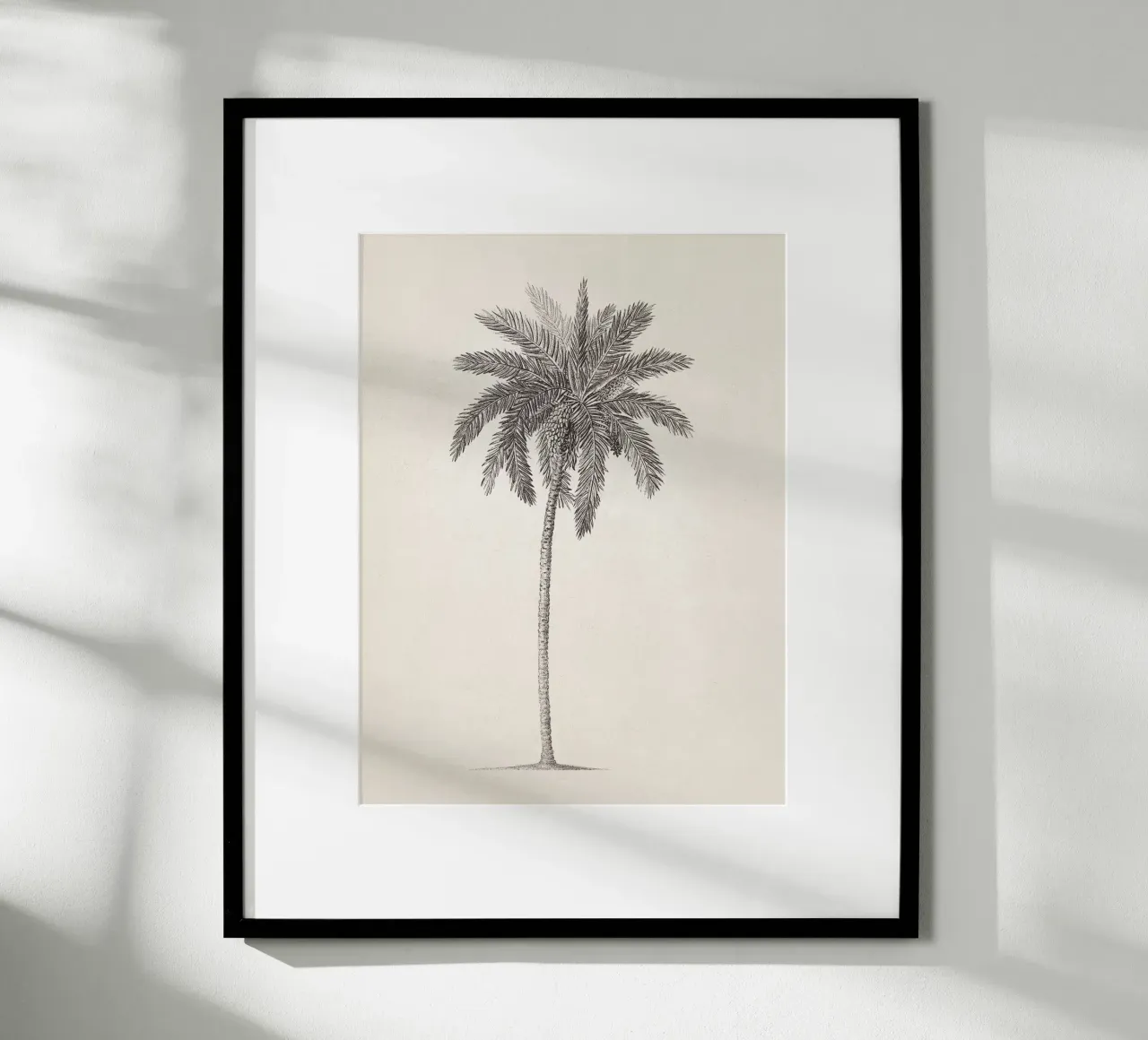 Palm Tree Sketch no. 09 carta hahnemühle da apoloprints