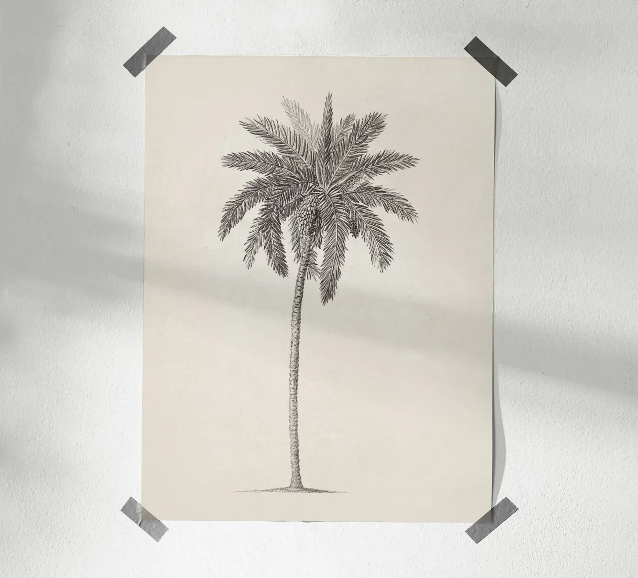 Palm Tree Sketch no. 09 carta hahnemühle da apoloprints