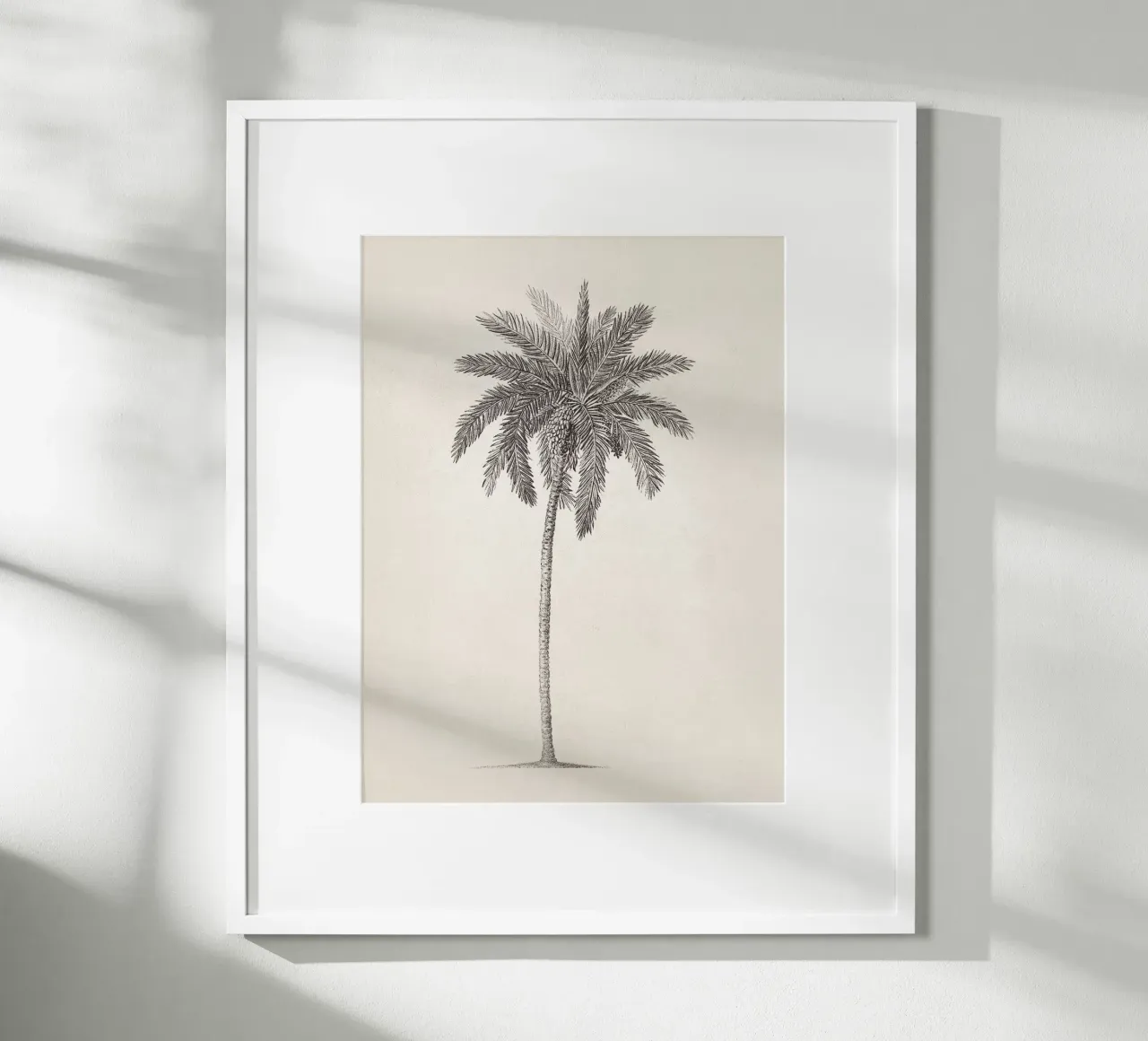 Palm Tree Sketch no. 09 carta hahnemühle da apoloprints