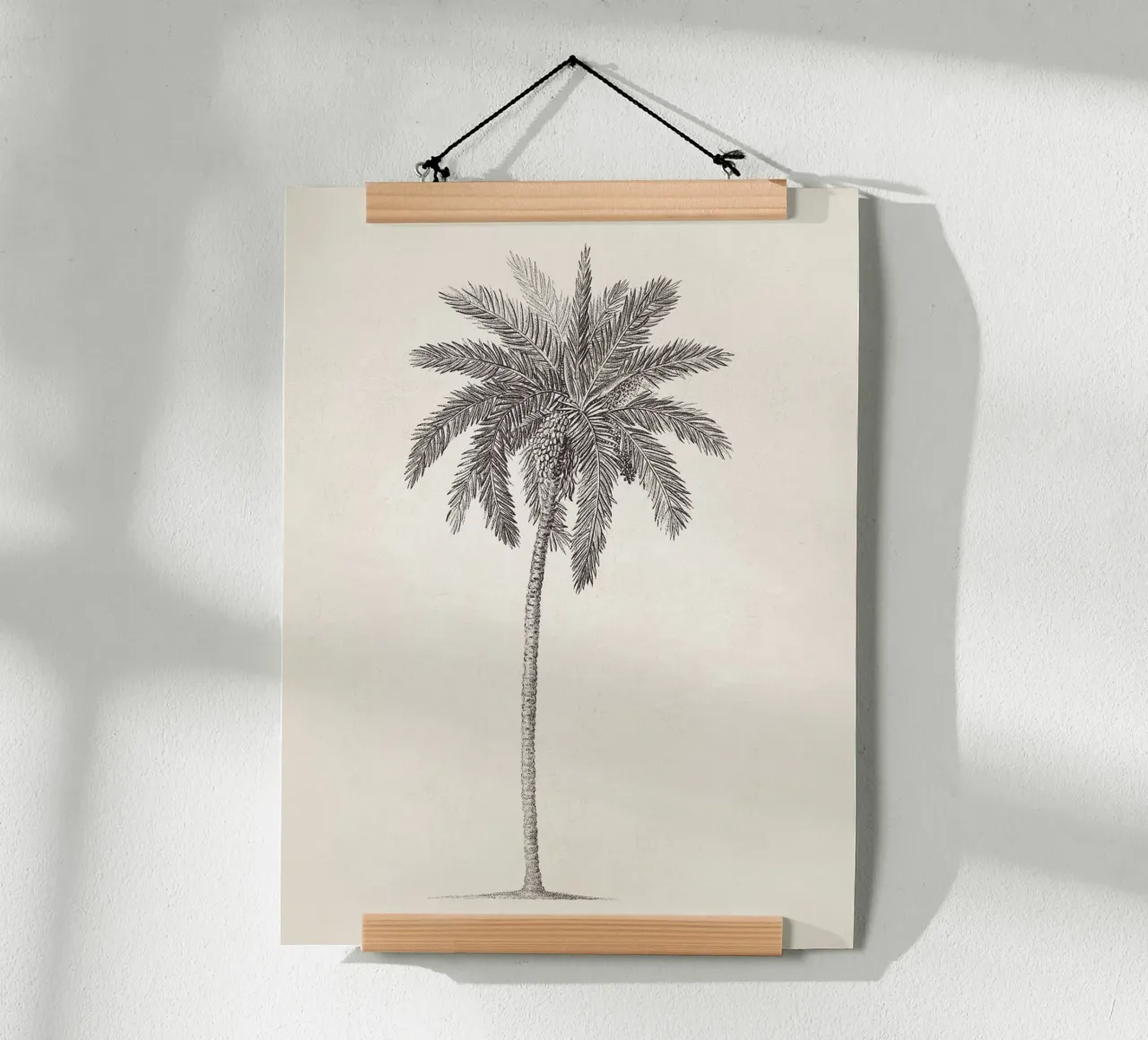 Palm Tree Sketch no. 09 carta hahnemühle da apoloprints