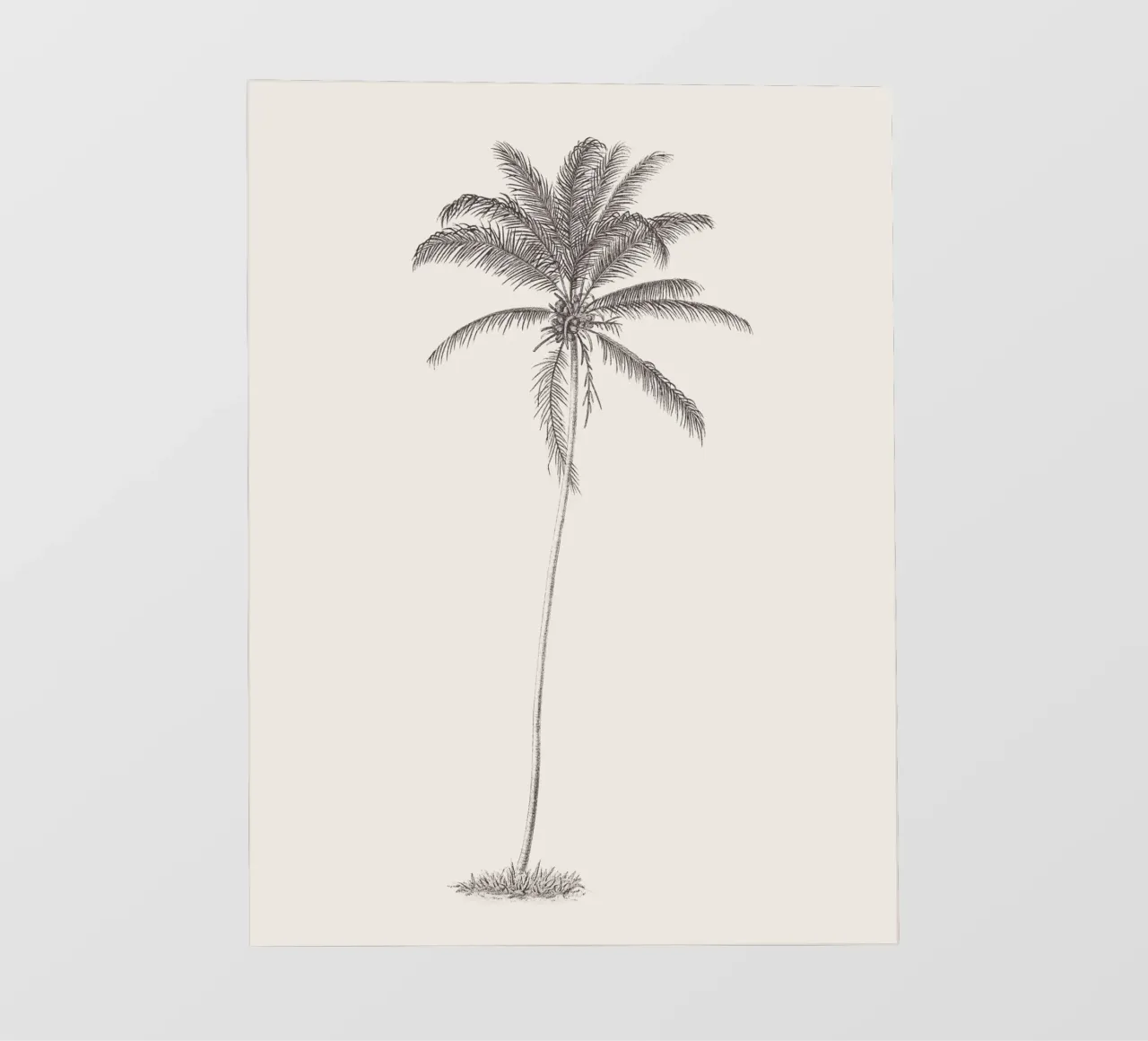 Palm Tree Sketch no. 10 telo in pvc da apoloprints