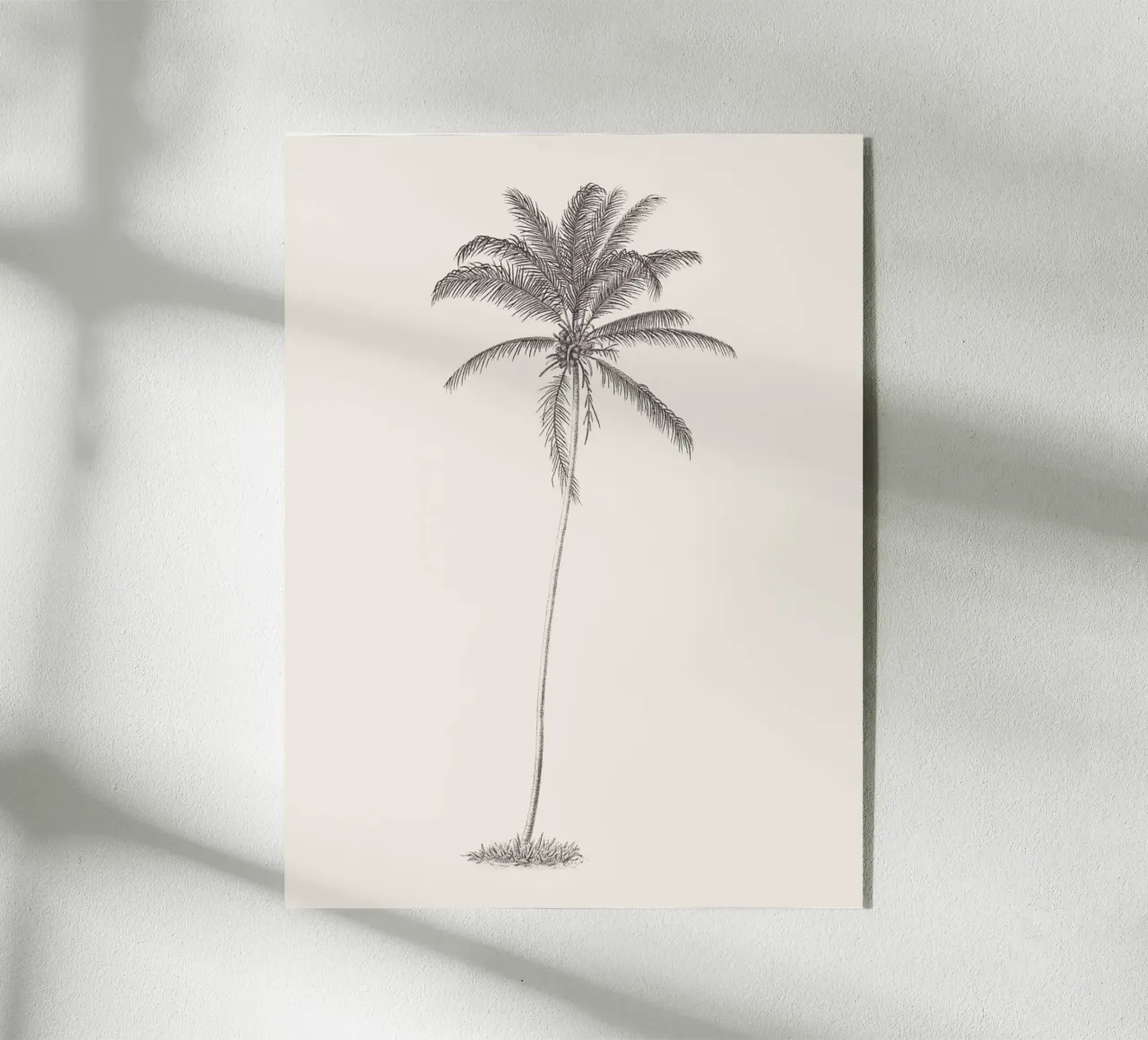 Palm Tree Sketch no. 10 metacrilato de apoloprints