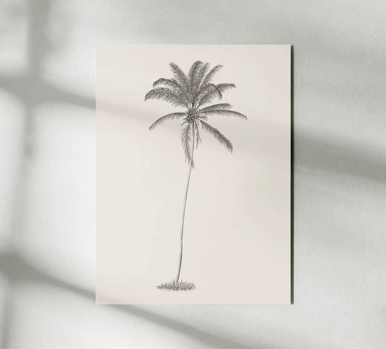 Palm Tree Sketch no. 10 alluminio dibond da apoloprints