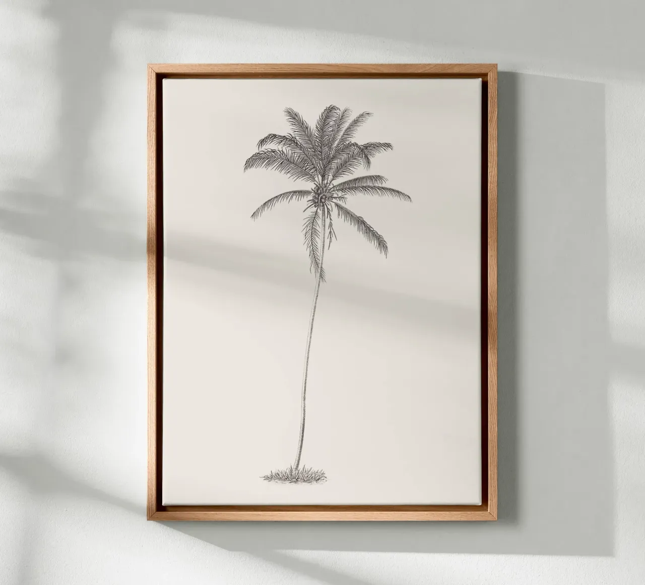 Palm Tree Sketch no. 10 tela da apoloprints