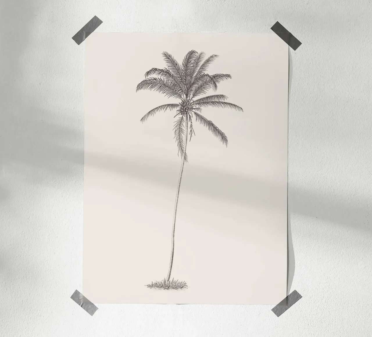 Palm Tree Sketch no. 10 carta hahnemühle da apoloprints