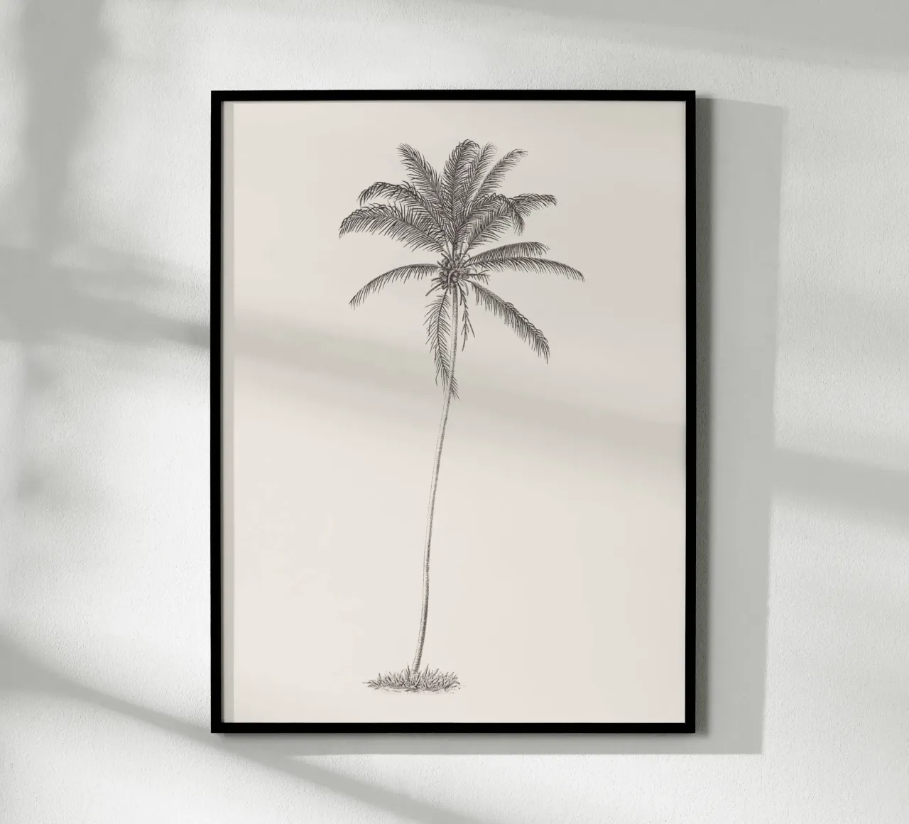 Palm Tree Sketch no. 10 carta hahnemühle da apoloprints