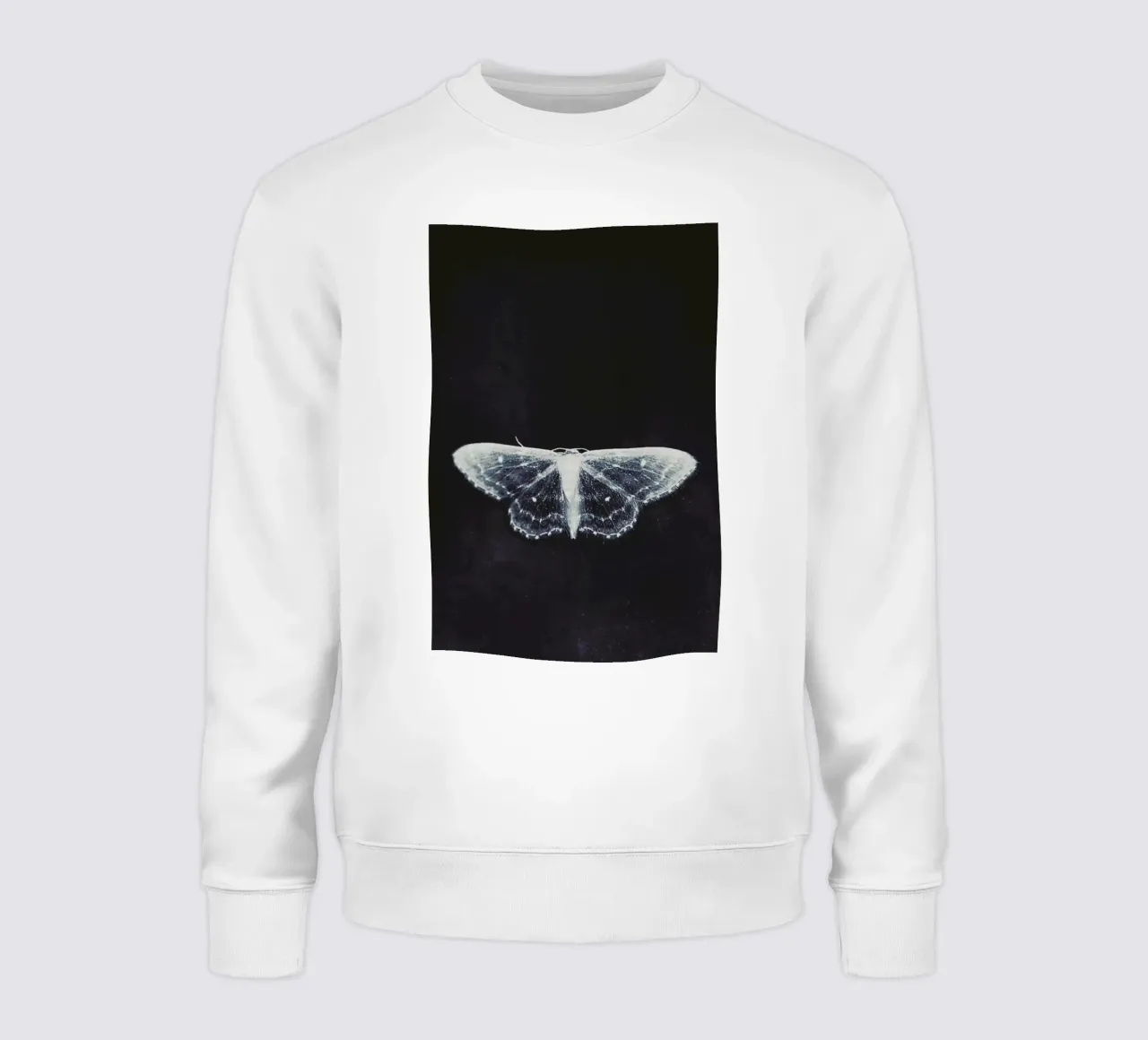 Fragile felpa da Ingrid Beddoes