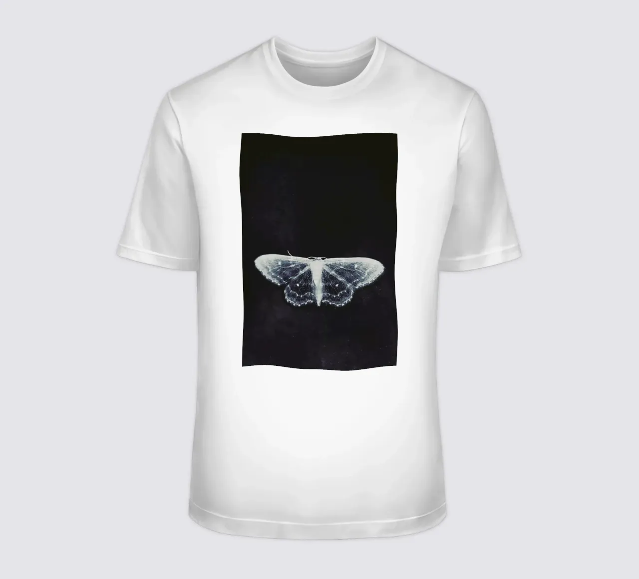 Fragile t-shirt da Ingrid Beddoes