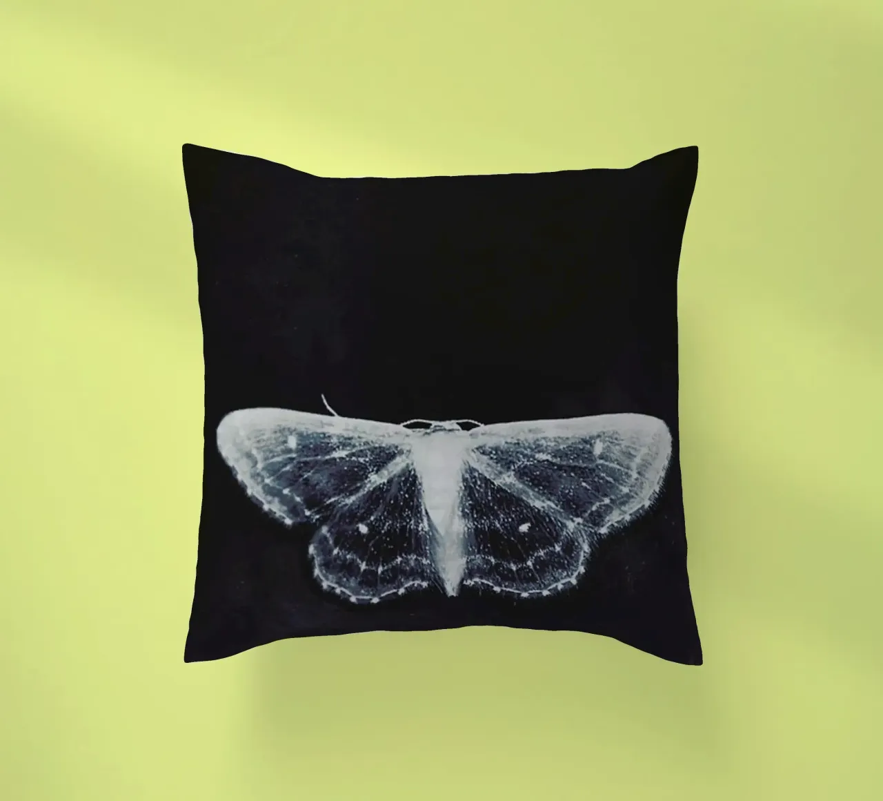 Fragile cuscino da Ingrid Beddoes