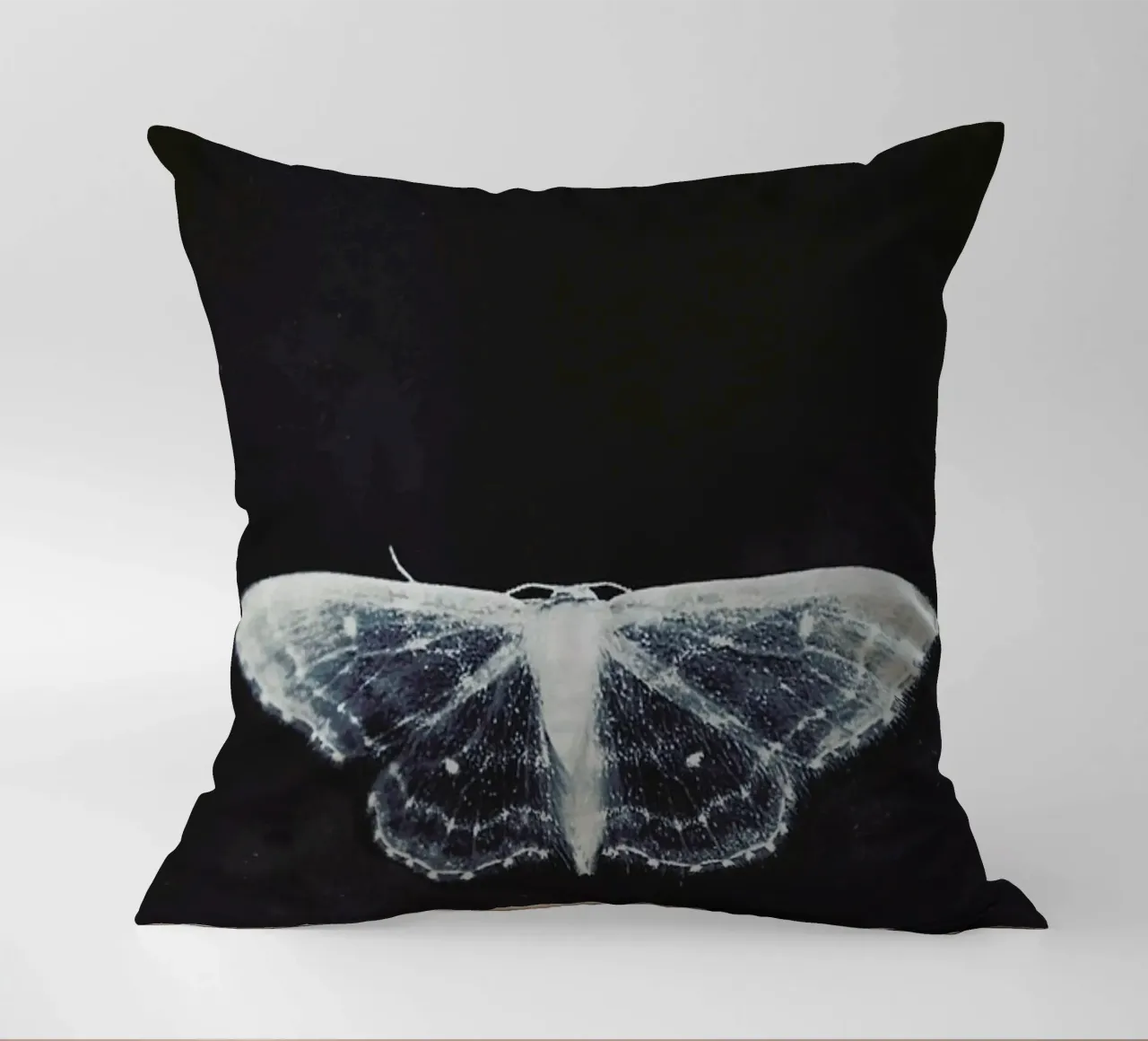 Fragile cuscino da Ingrid Beddoes