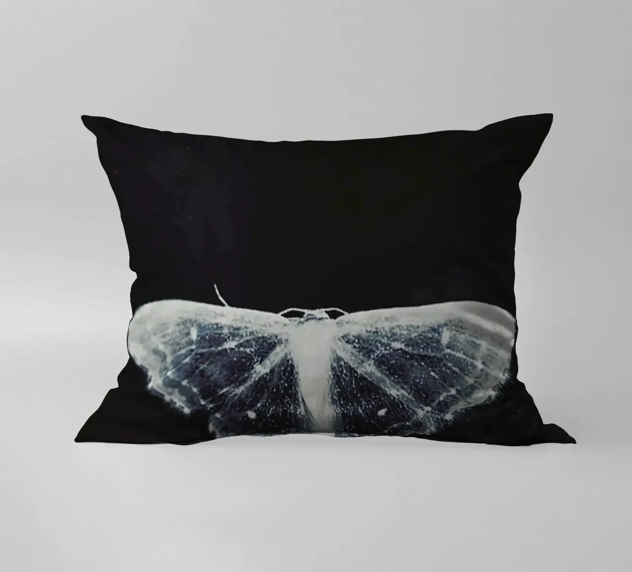 Fragile cuscino da Ingrid Beddoes