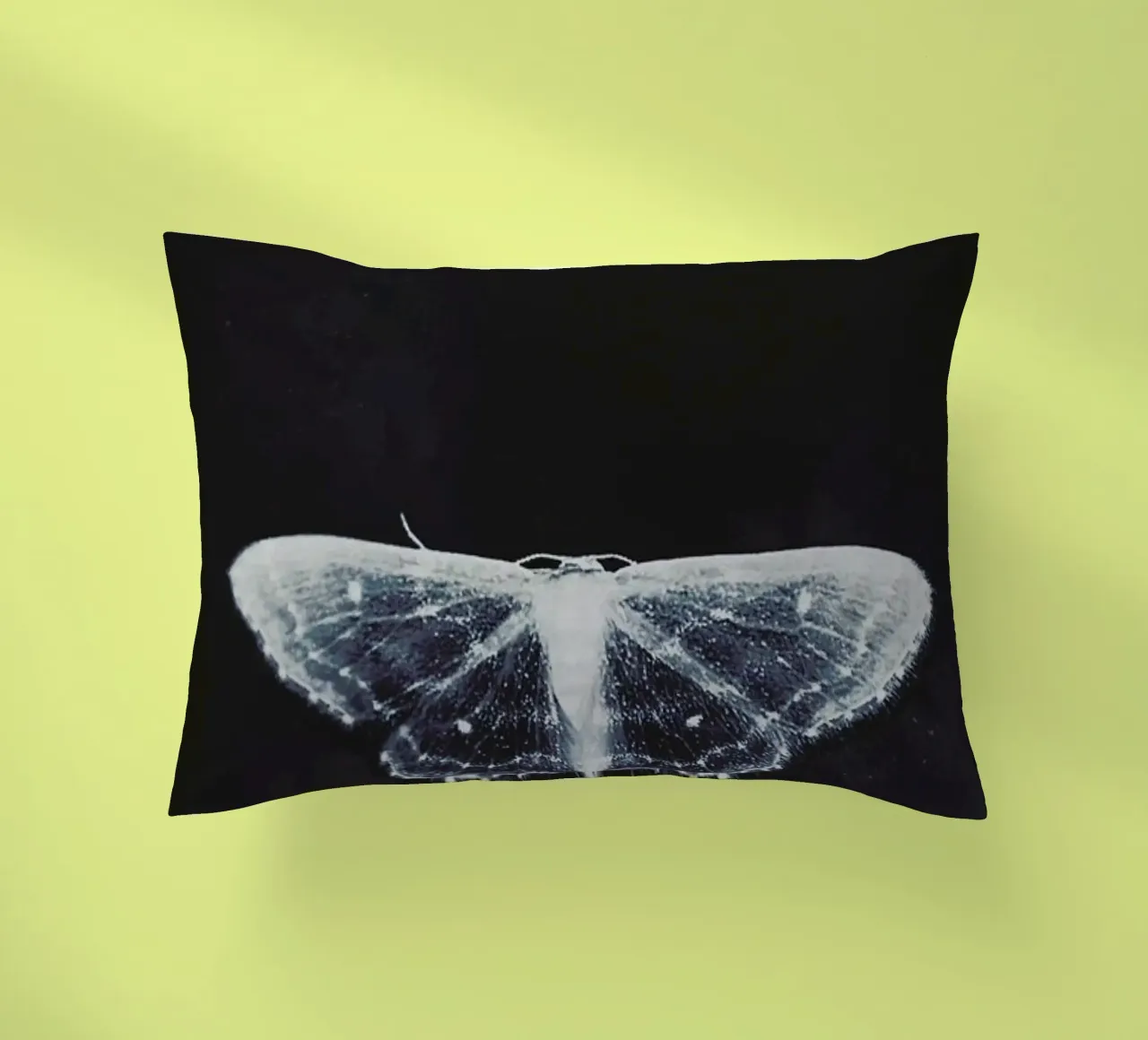 Fragile cuscino da Ingrid Beddoes