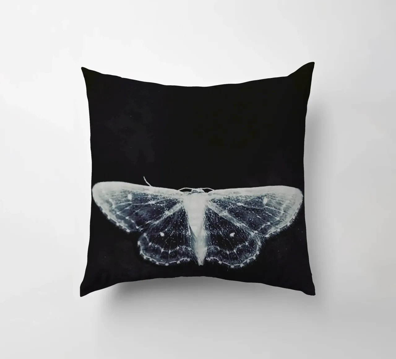 Fragile cuscino da Ingrid Beddoes