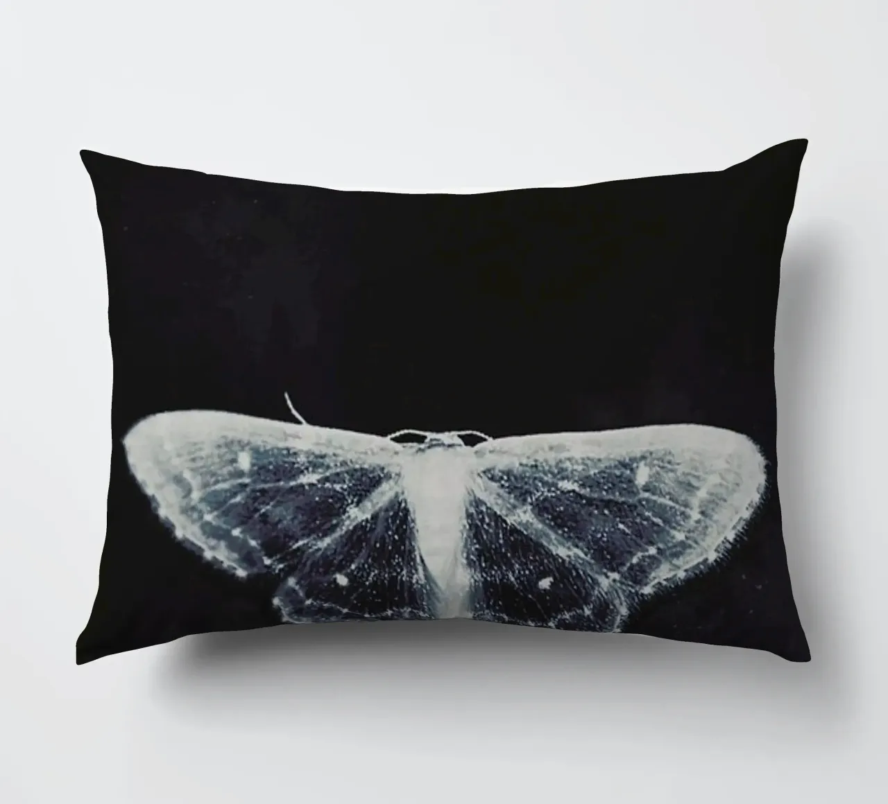 Fragile cuscino da Ingrid Beddoes