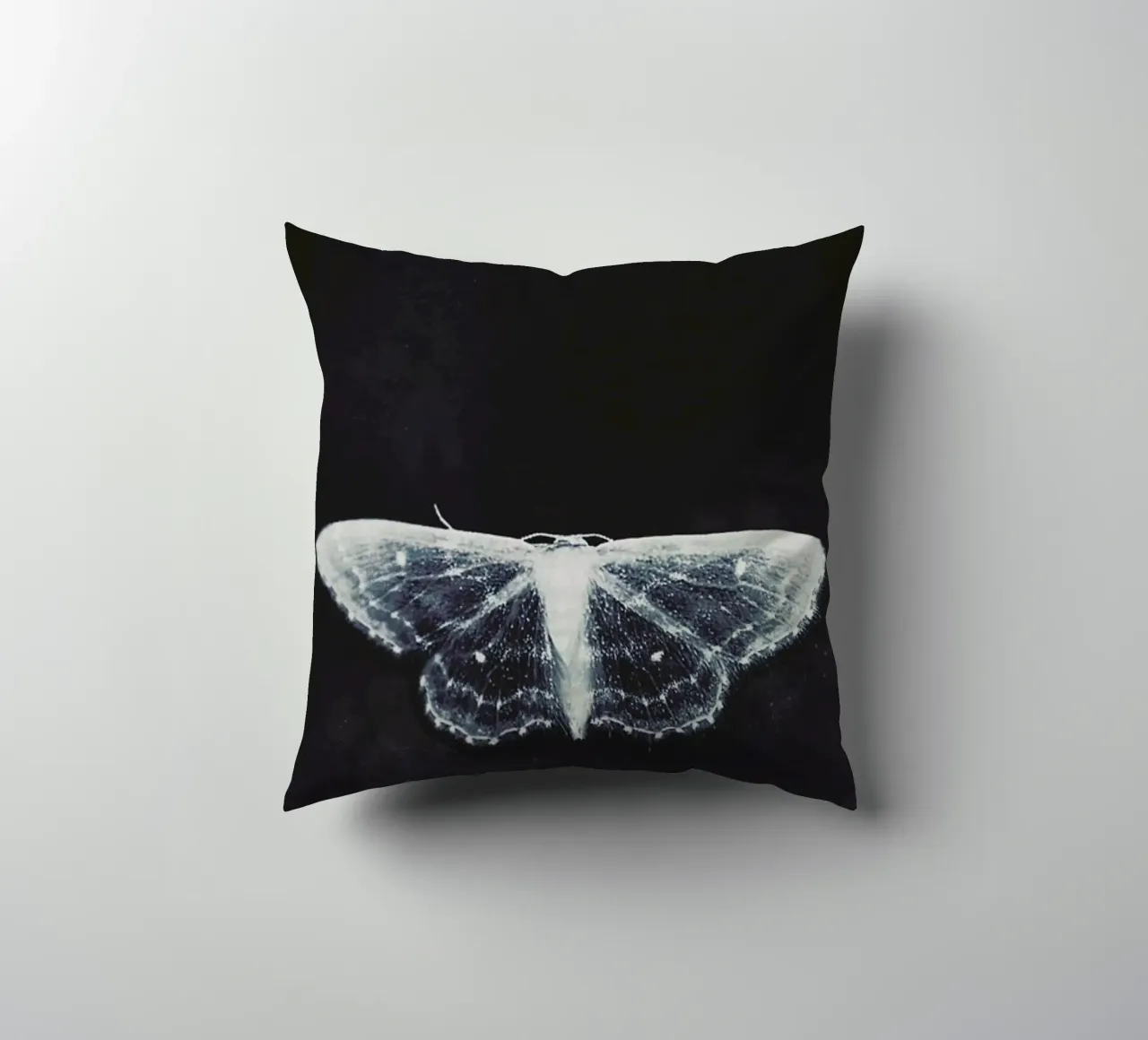 Fragile cuscino da Ingrid Beddoes