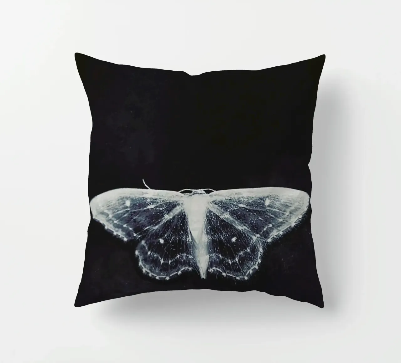 Fragile cuscino da Ingrid Beddoes