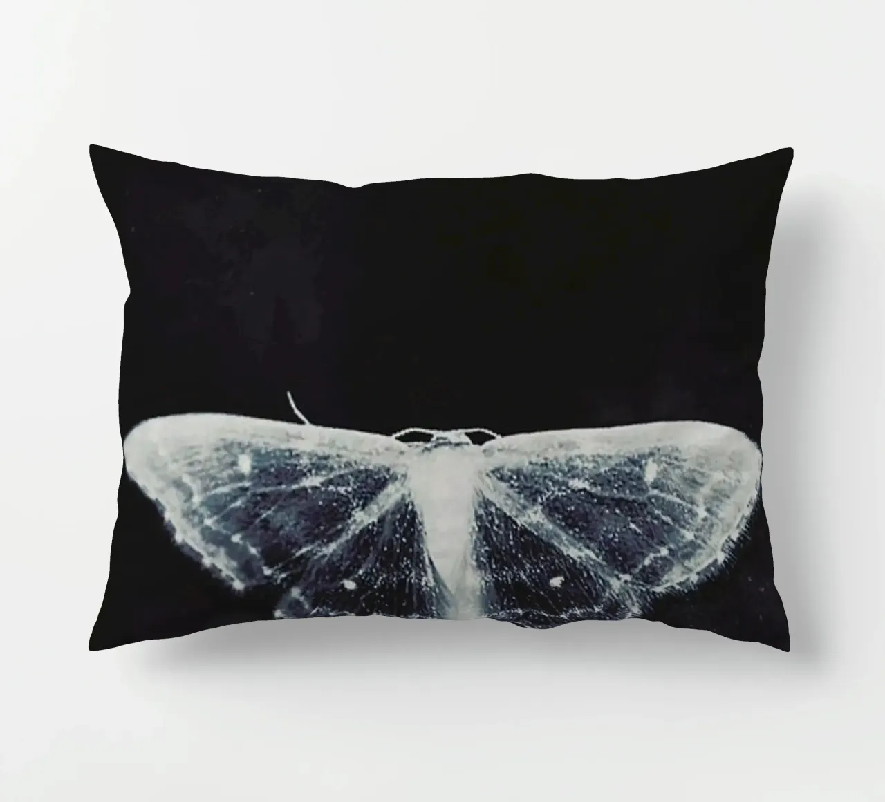 Fragile cuscino da Ingrid Beddoes