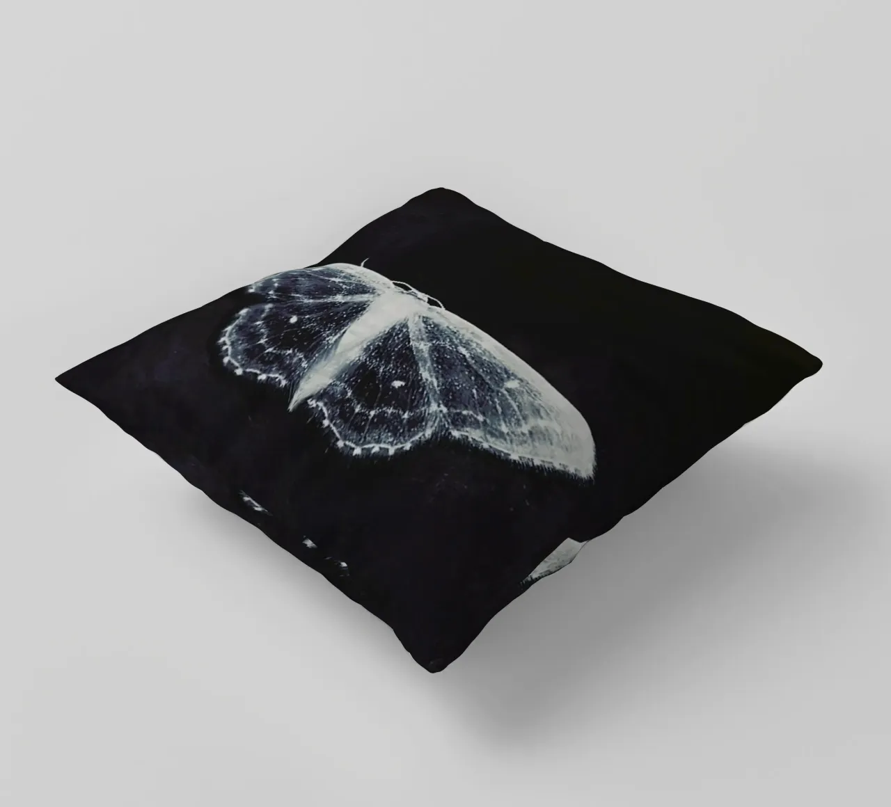 Fragile cuscino da Ingrid Beddoes