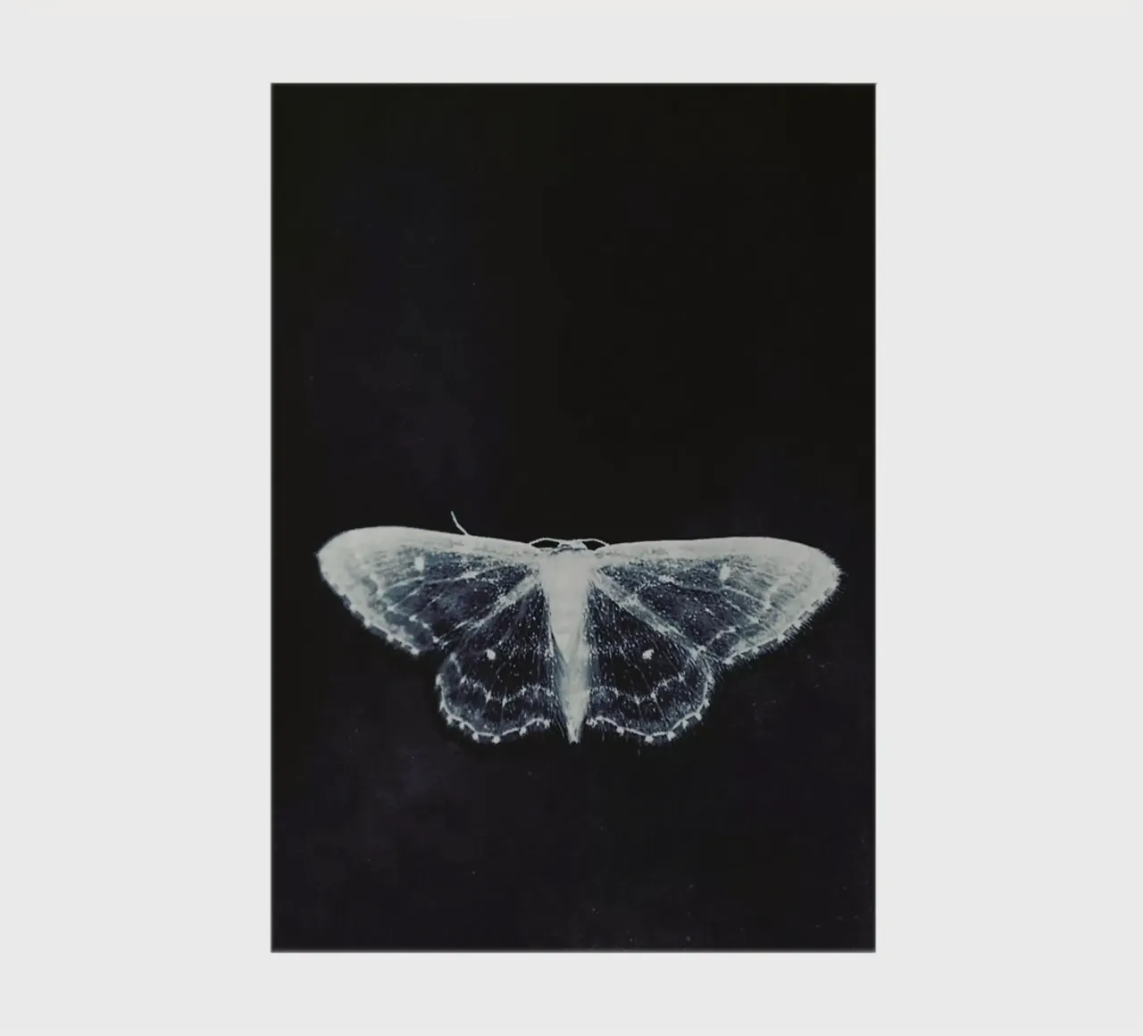 Fragile notebook by Ingrid Beddoes