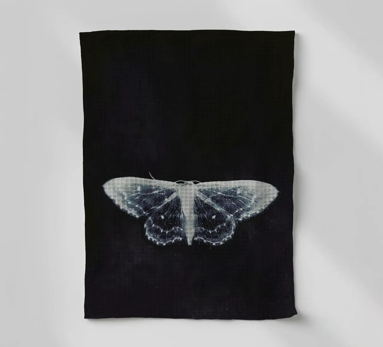 Fragile torchon de Ingrid Beddoes