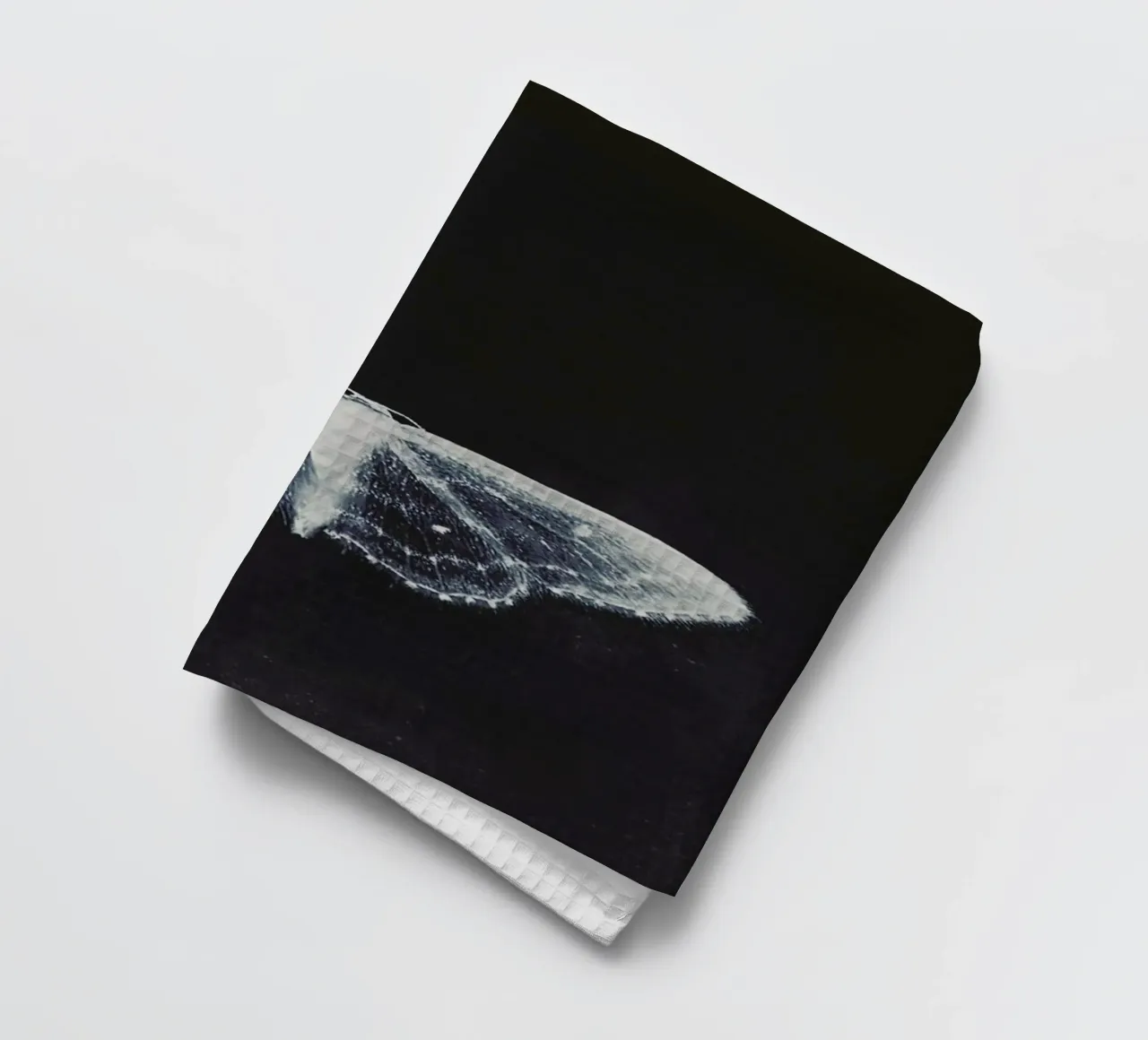 Fragile torchon de Ingrid Beddoes