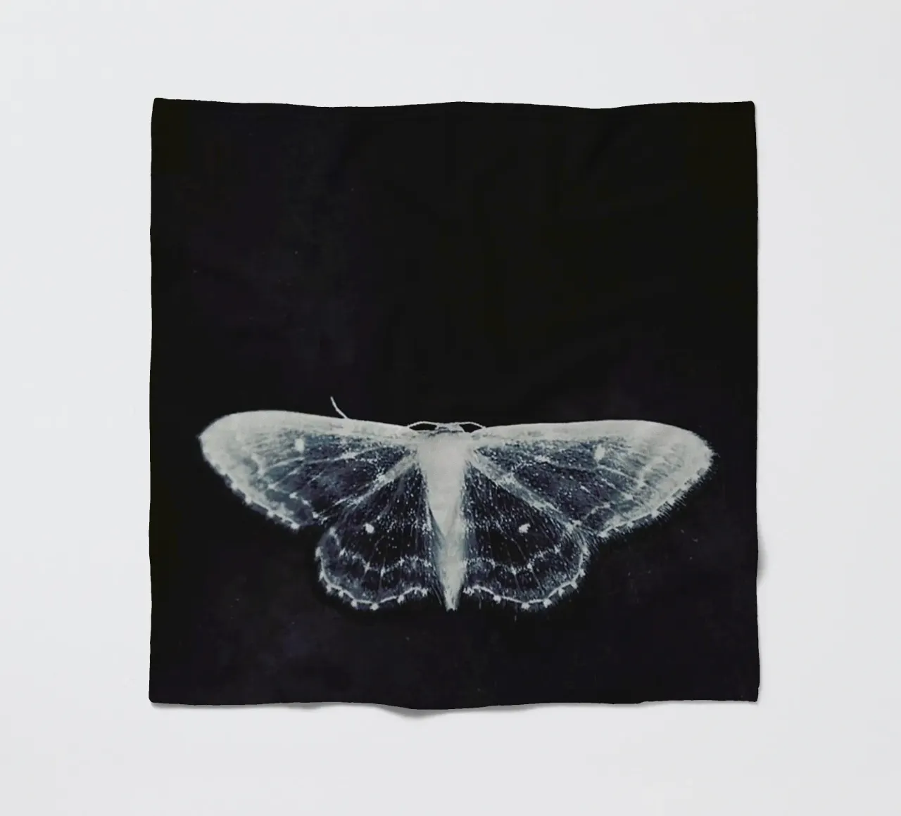 Fragile coperta in pile da Ingrid Beddoes