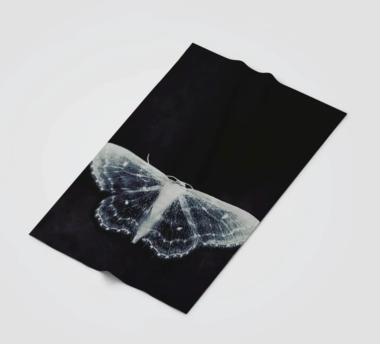 Fragile coperta in pile da Ingrid Beddoes