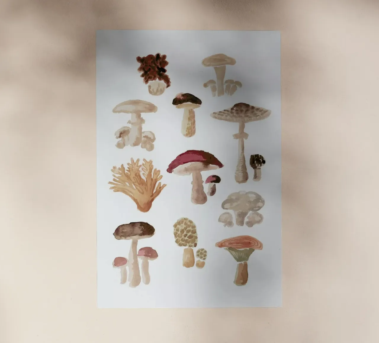 Mushrooms backlit film by Farina Kuklinski