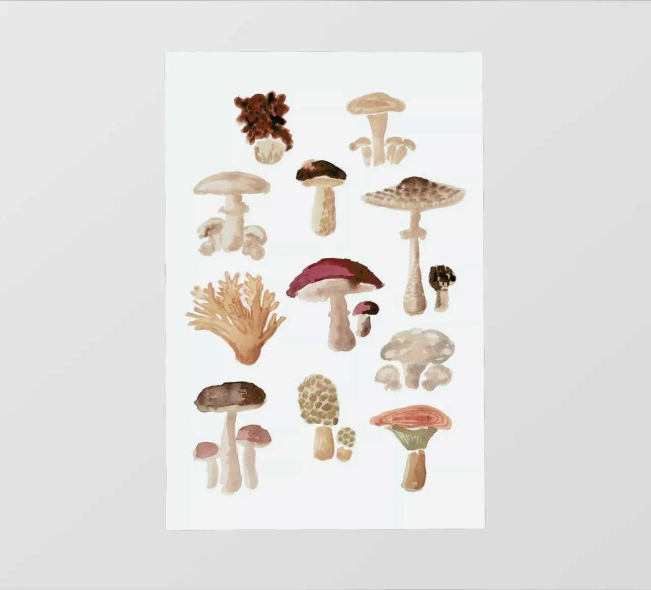 Mushrooms backlit film by Farina Kuklinski