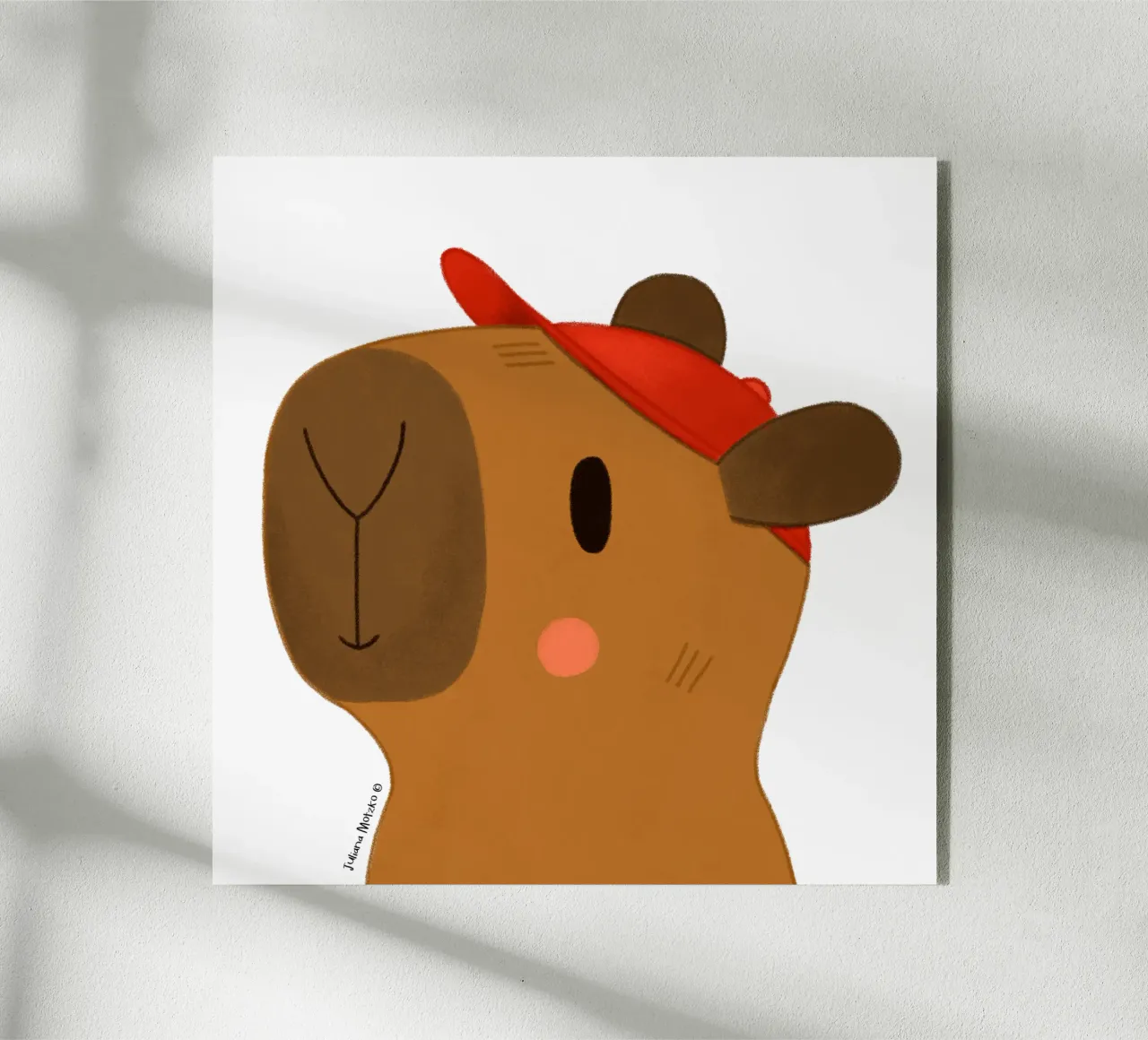 Capibara con cappuccio rosso plexiglass da julianamotzko