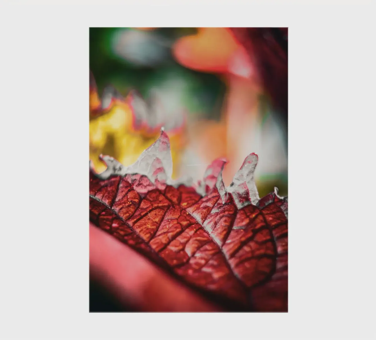 Herbst notebook by Jonas Klein