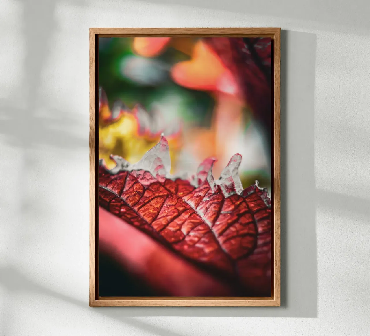 Herbst tela con Cornice a cassetta da Jonas Klein