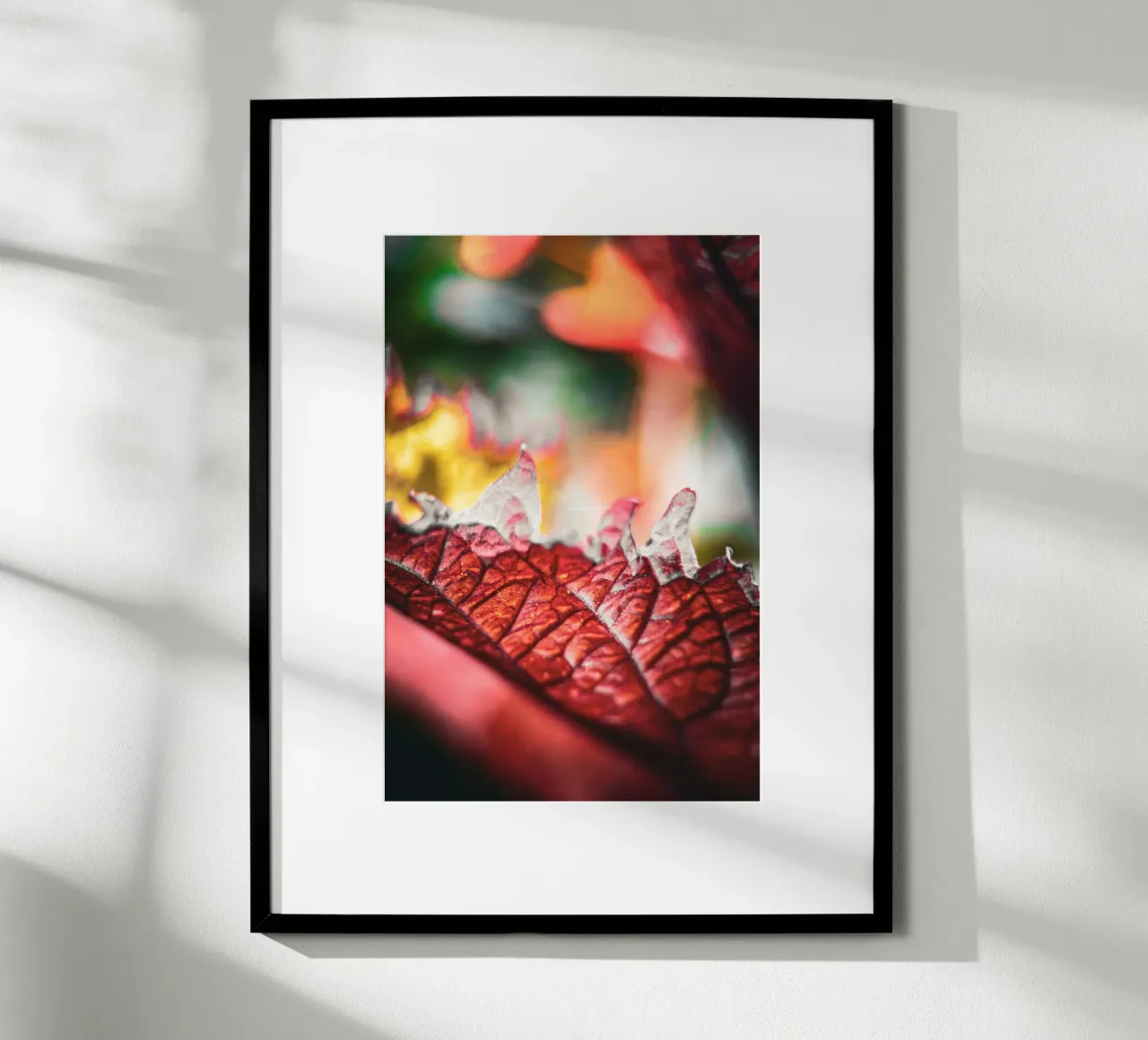 Herbst carta hahnemühle da Jonas Klein