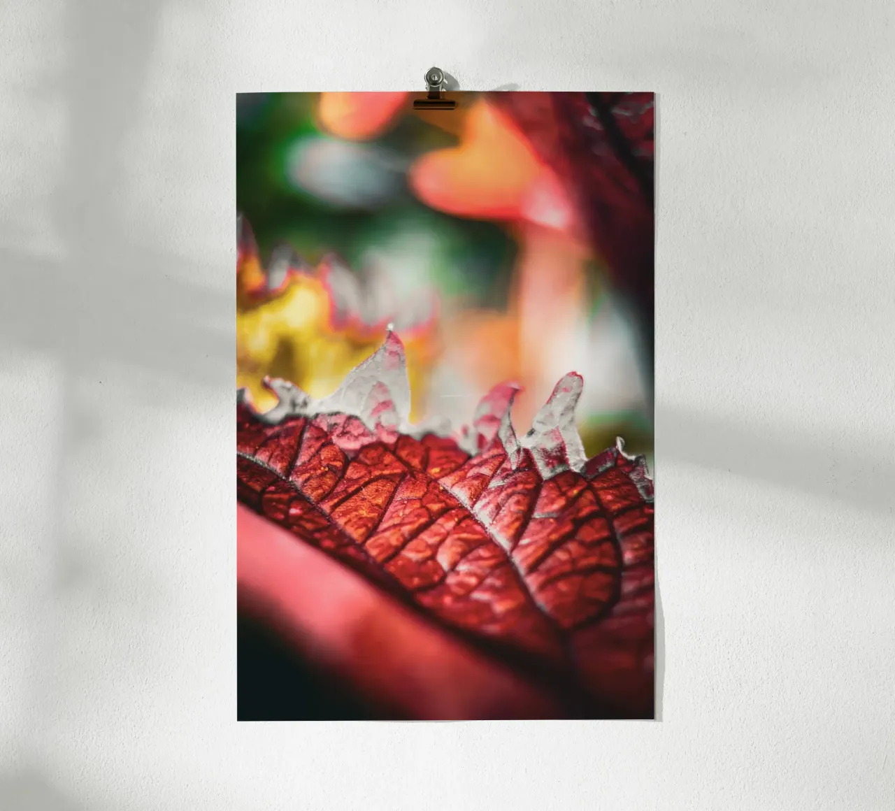 Herbst carta hahnemühle da Jonas Klein