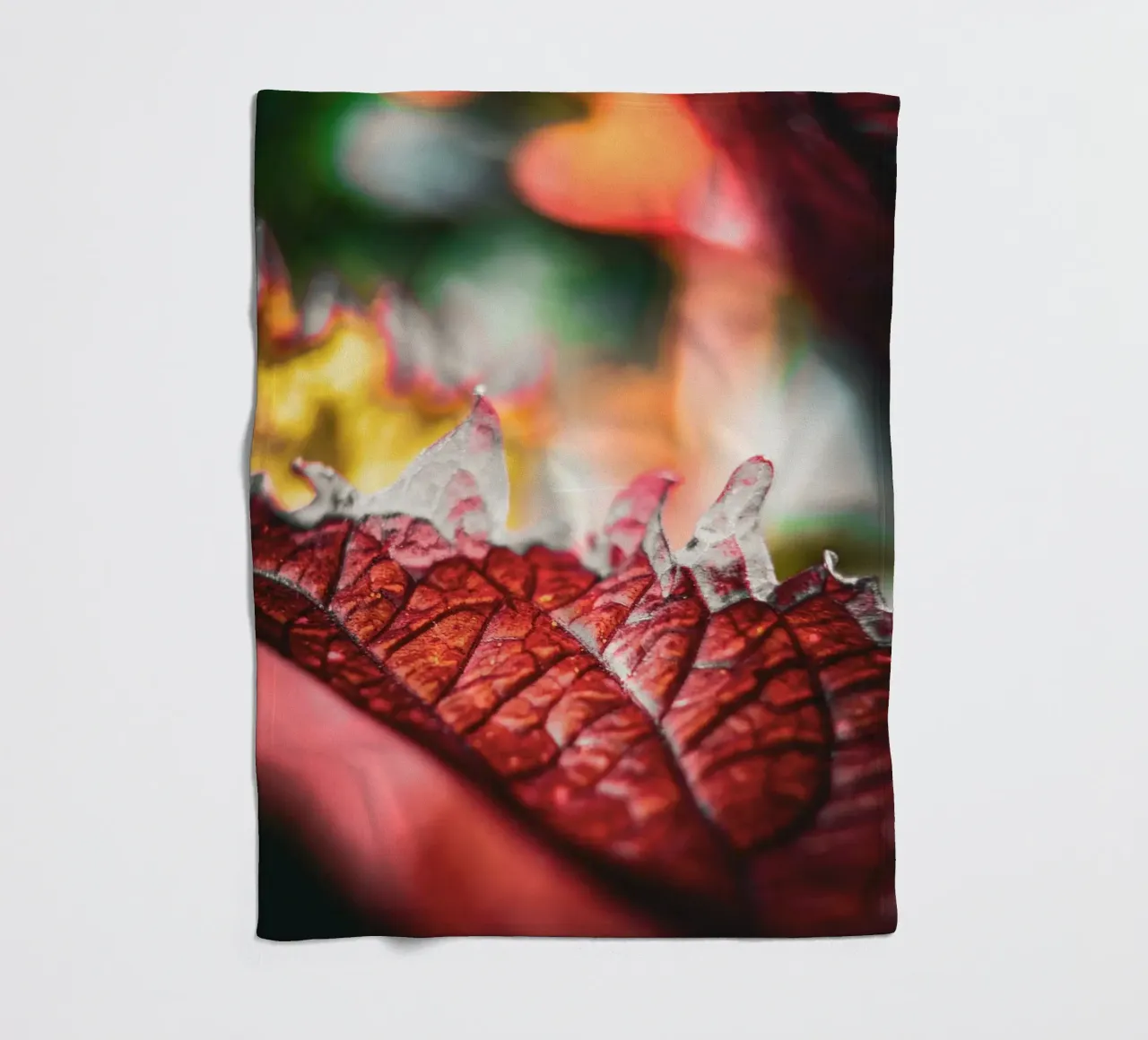 Herbst coperta in pile da Jonas Klein