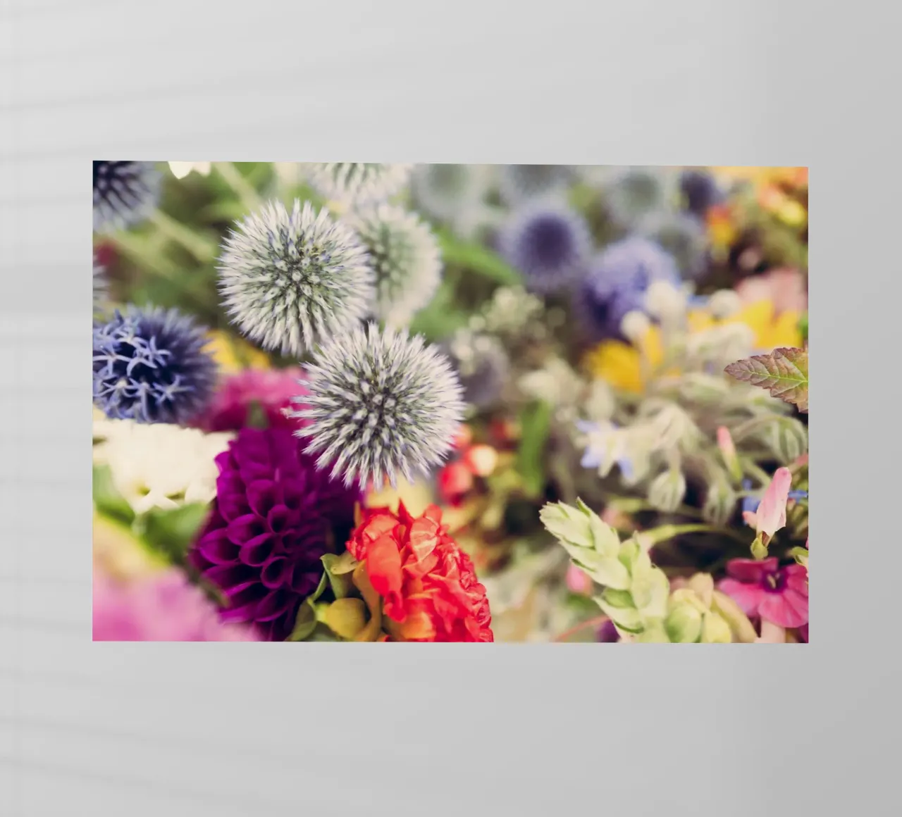 Flowers pellicola backlit da Jonas Klein