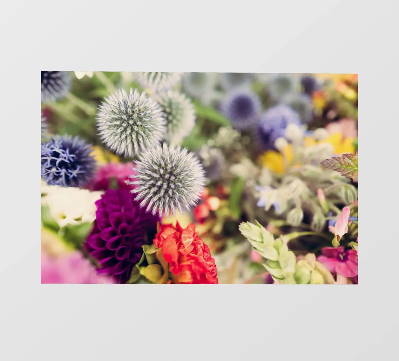 Flowers pellicola backlit da Jonas Klein