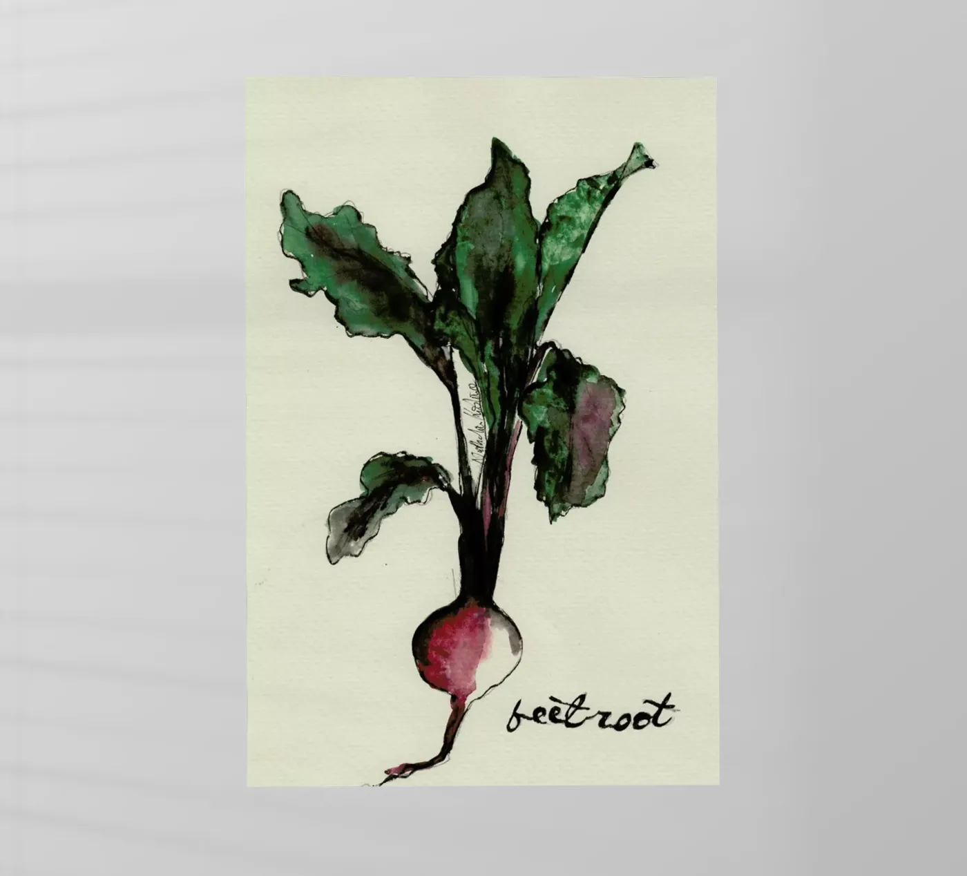 Beetroot Backlit Folie von Nathys_illustration