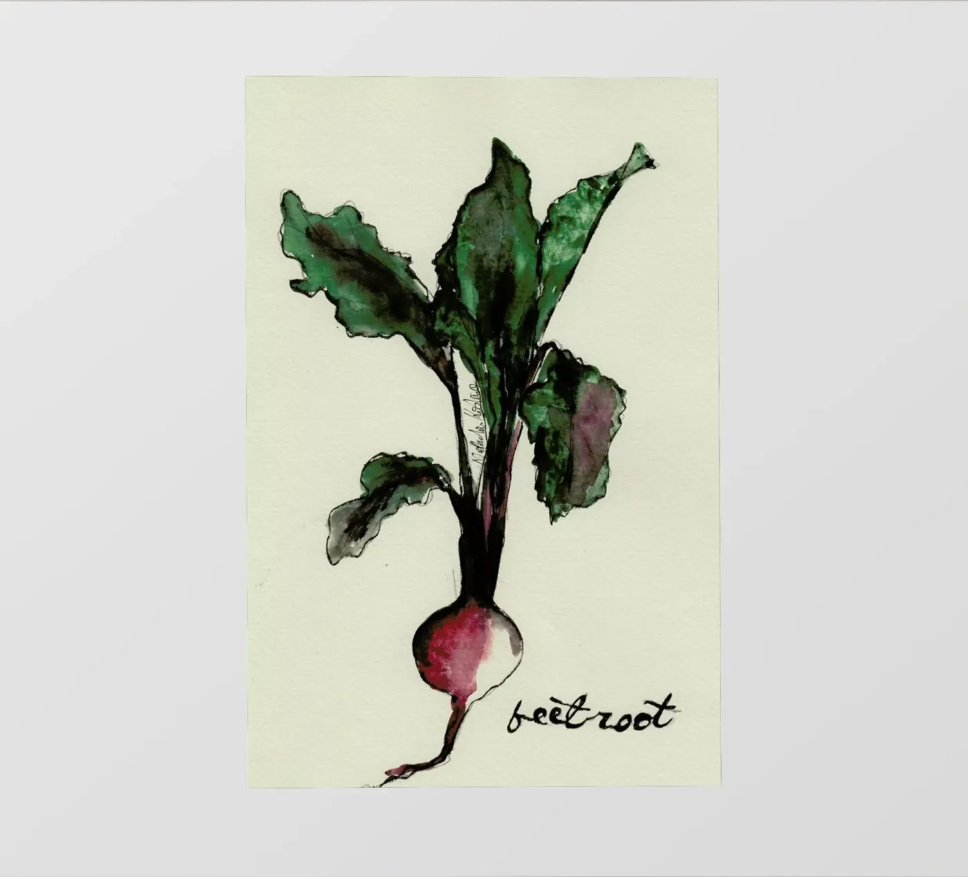 Beetroot Backlit Folie von Nathys_illustration