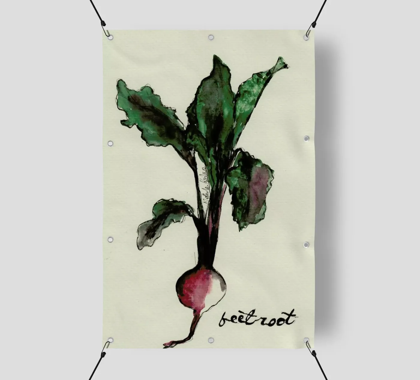 Beetroot bâche pvc de Nathys_illustration